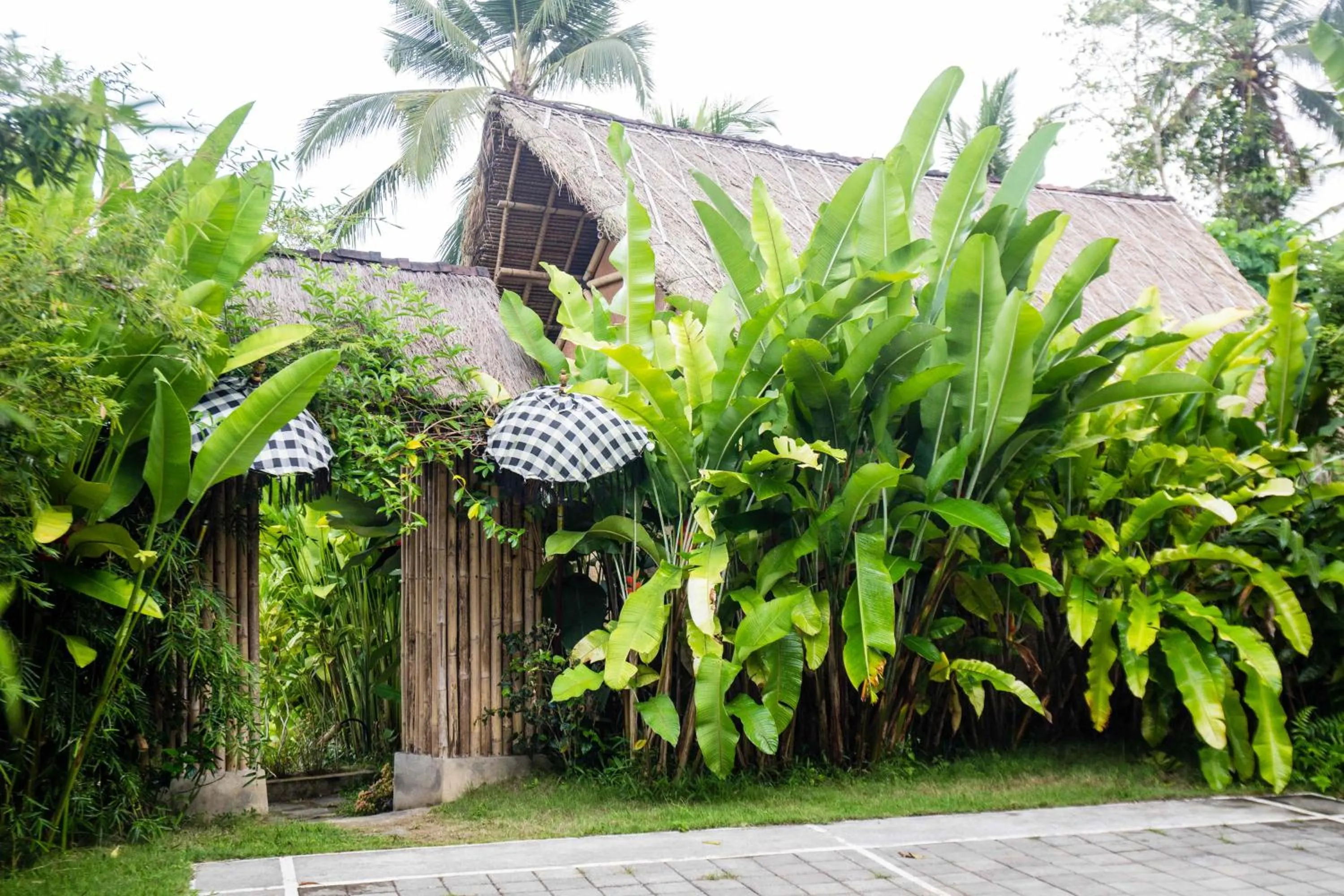 On site in Bersila La Maison Du Bonheur