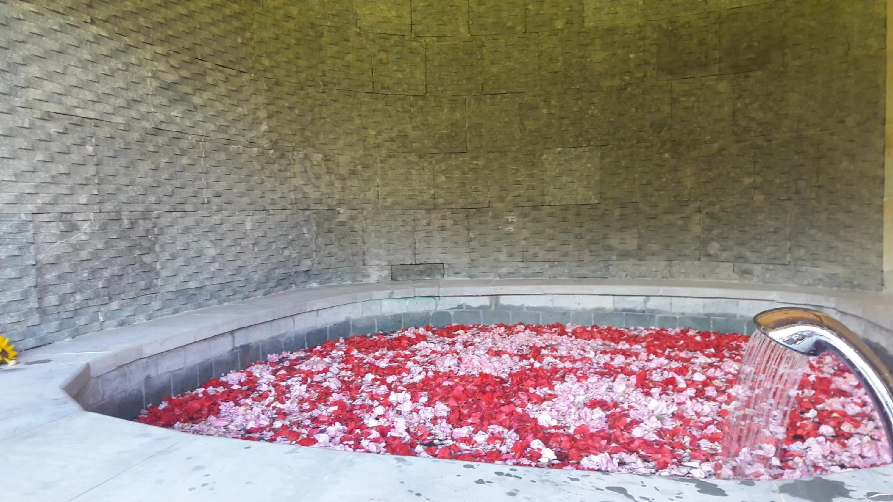 Area and facilities in Bersila La Maison Du Bonheur