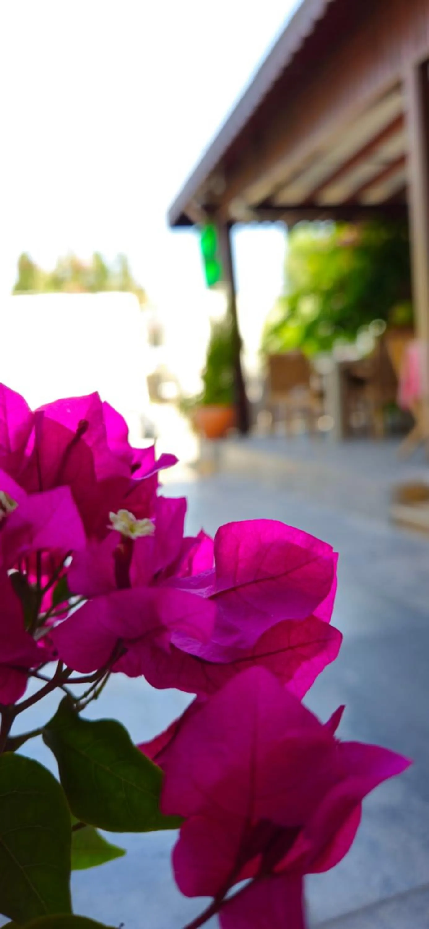 Merkez Kumsal Pansiyon