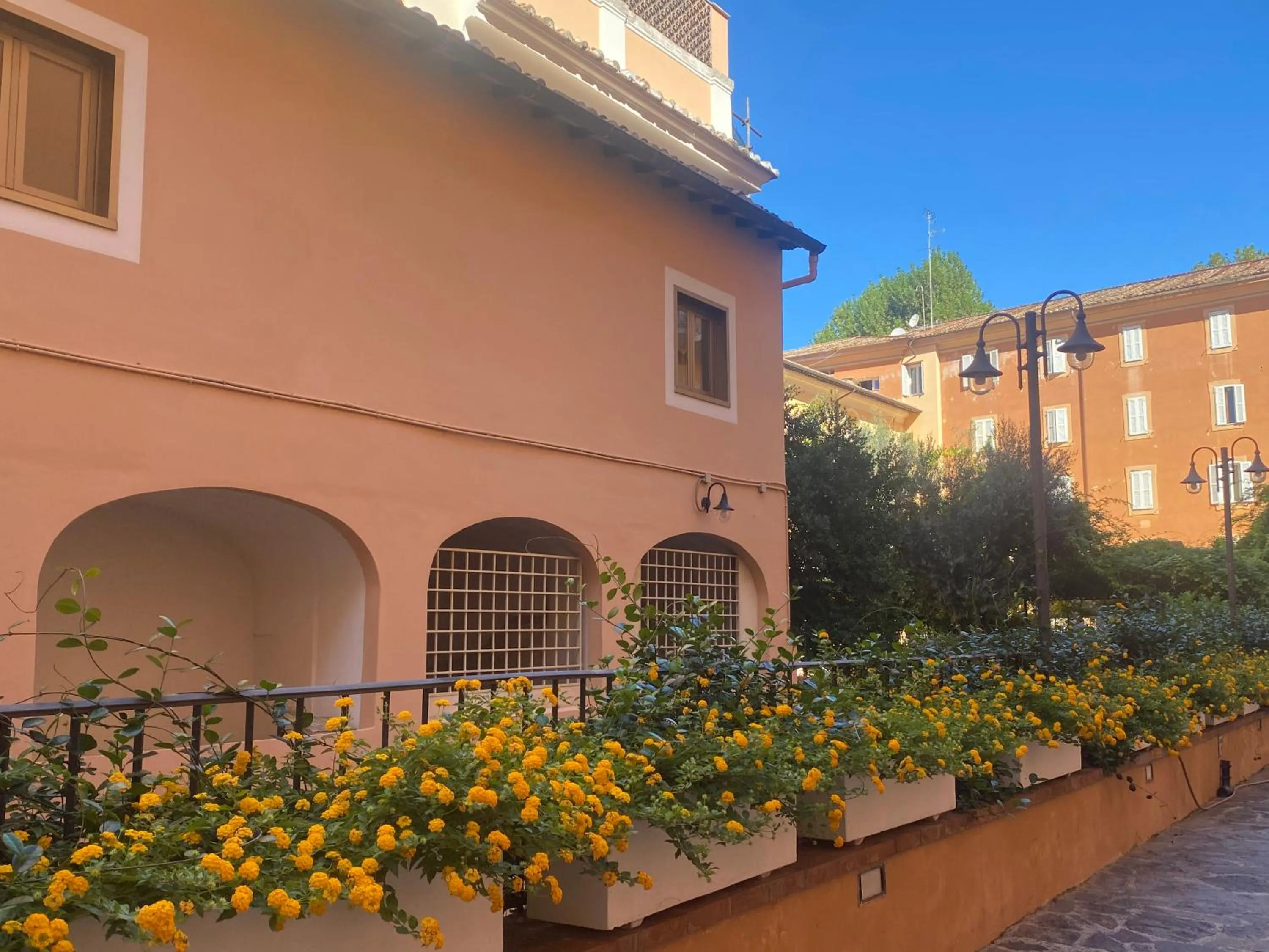 Garden in Basilica Hotel