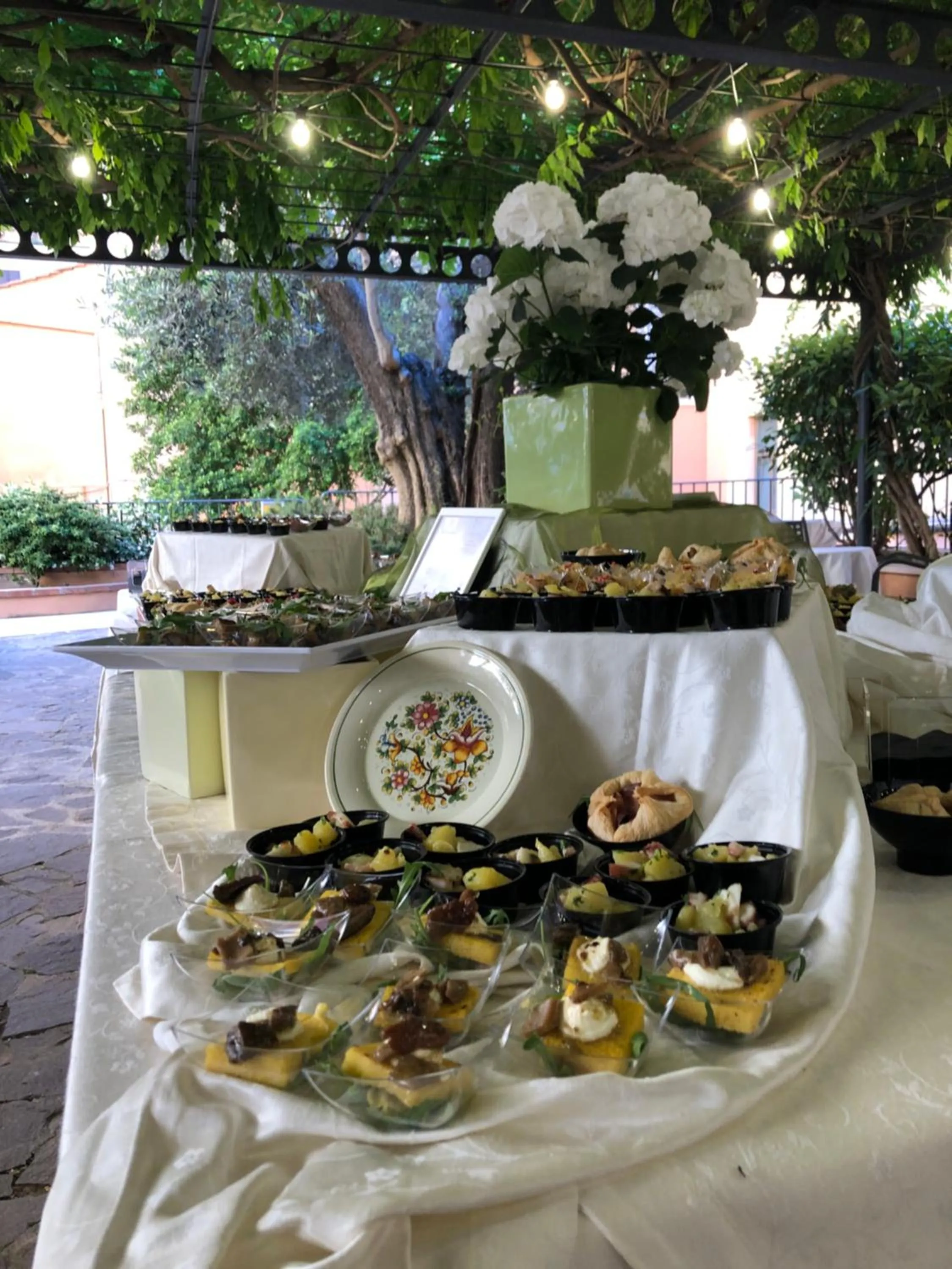 Garden in Basilica Hotel