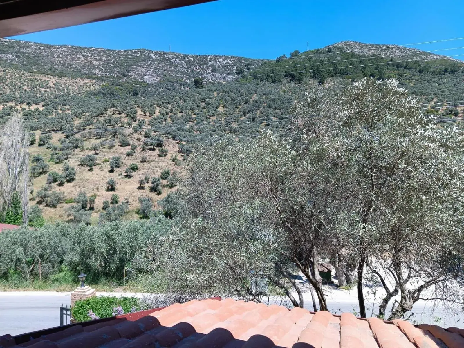 Family Studio in Şirince Klaseas Hotel&Restaurant Family Studio in Şirince Klaseas Hotel&Restaurant