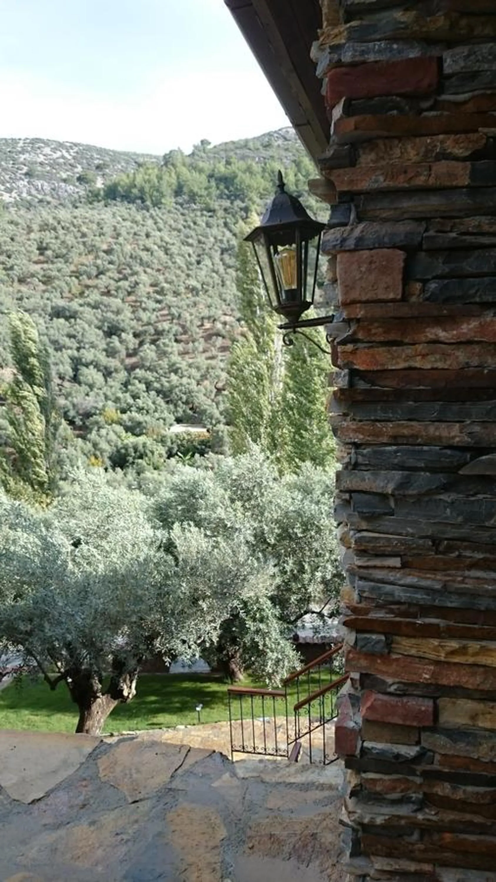 Garden view in Şirince Klaseas Hotel&Restaurant