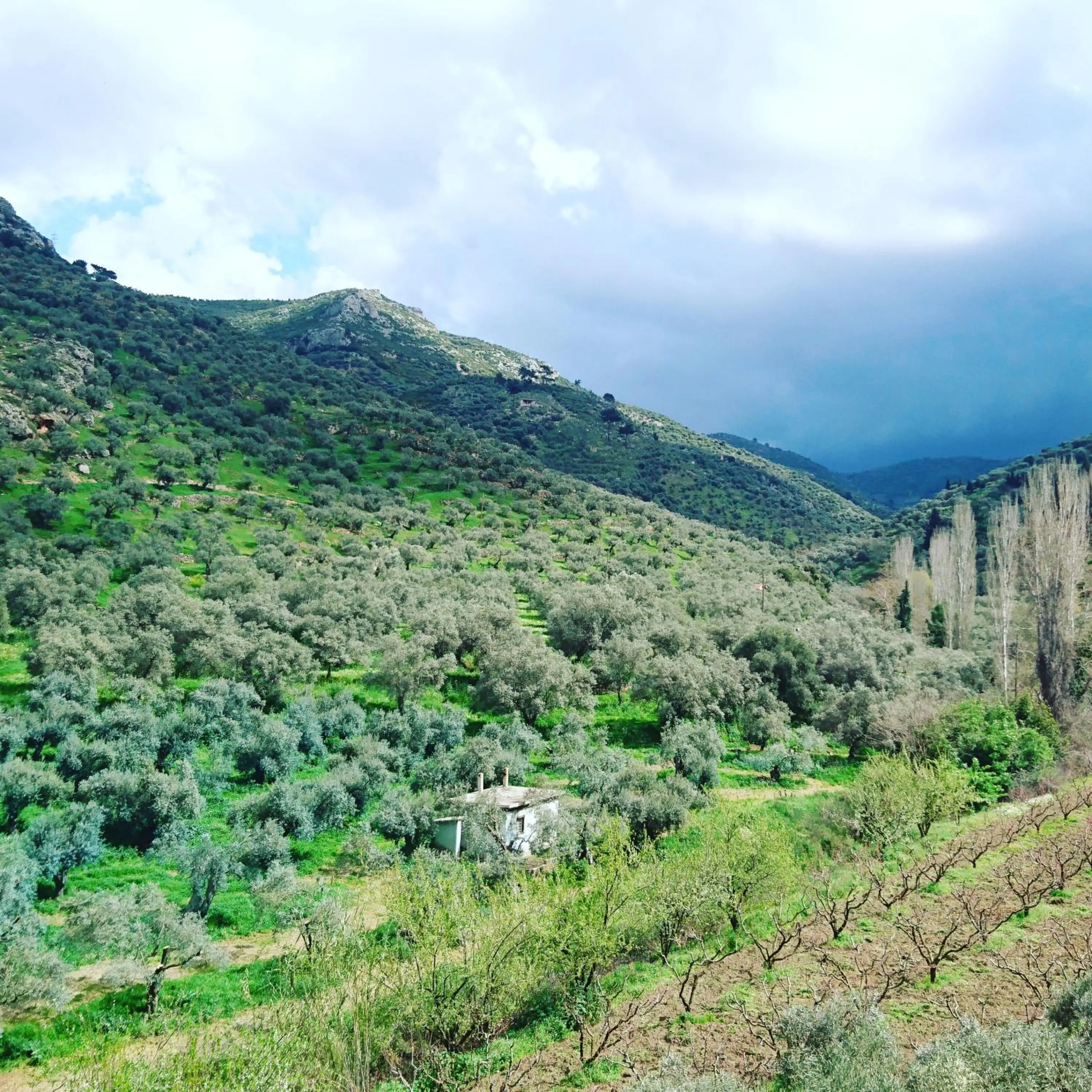 Natural landscape in Şirince Klaseas Hotel&Restaurant