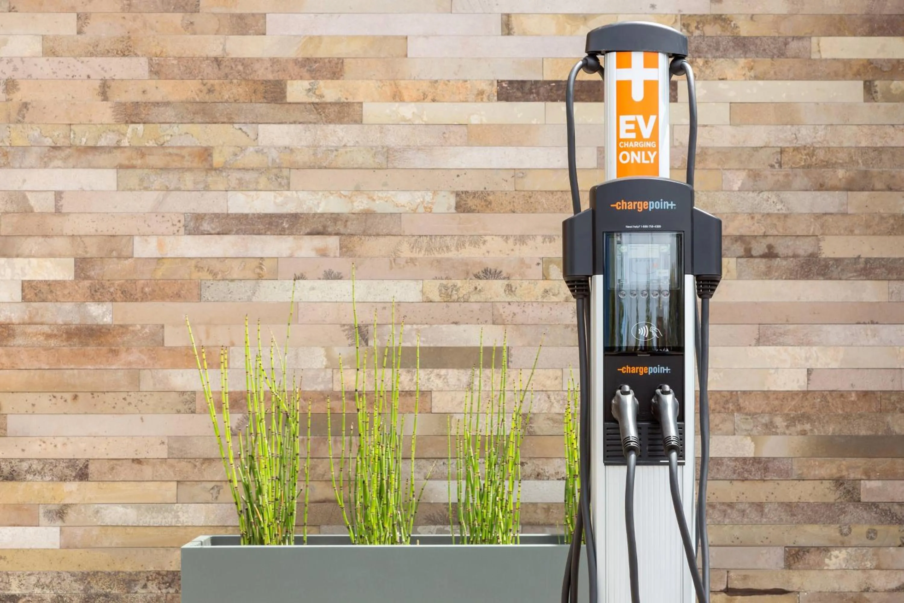 Other in SpringHill Suites by Marriott San Diego Mission Valley