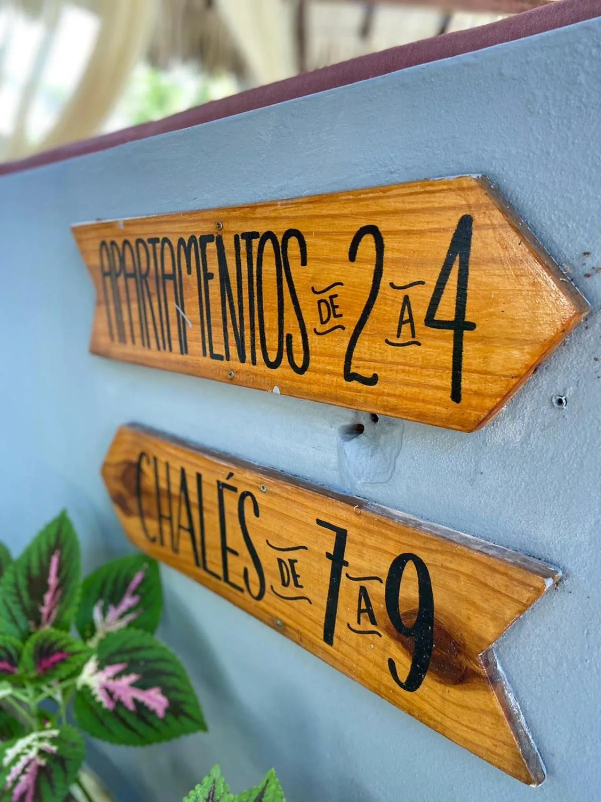 Logo/Certificate/Sign in Pousada Paraiso - Santo Amaro Centro - perto de tudo