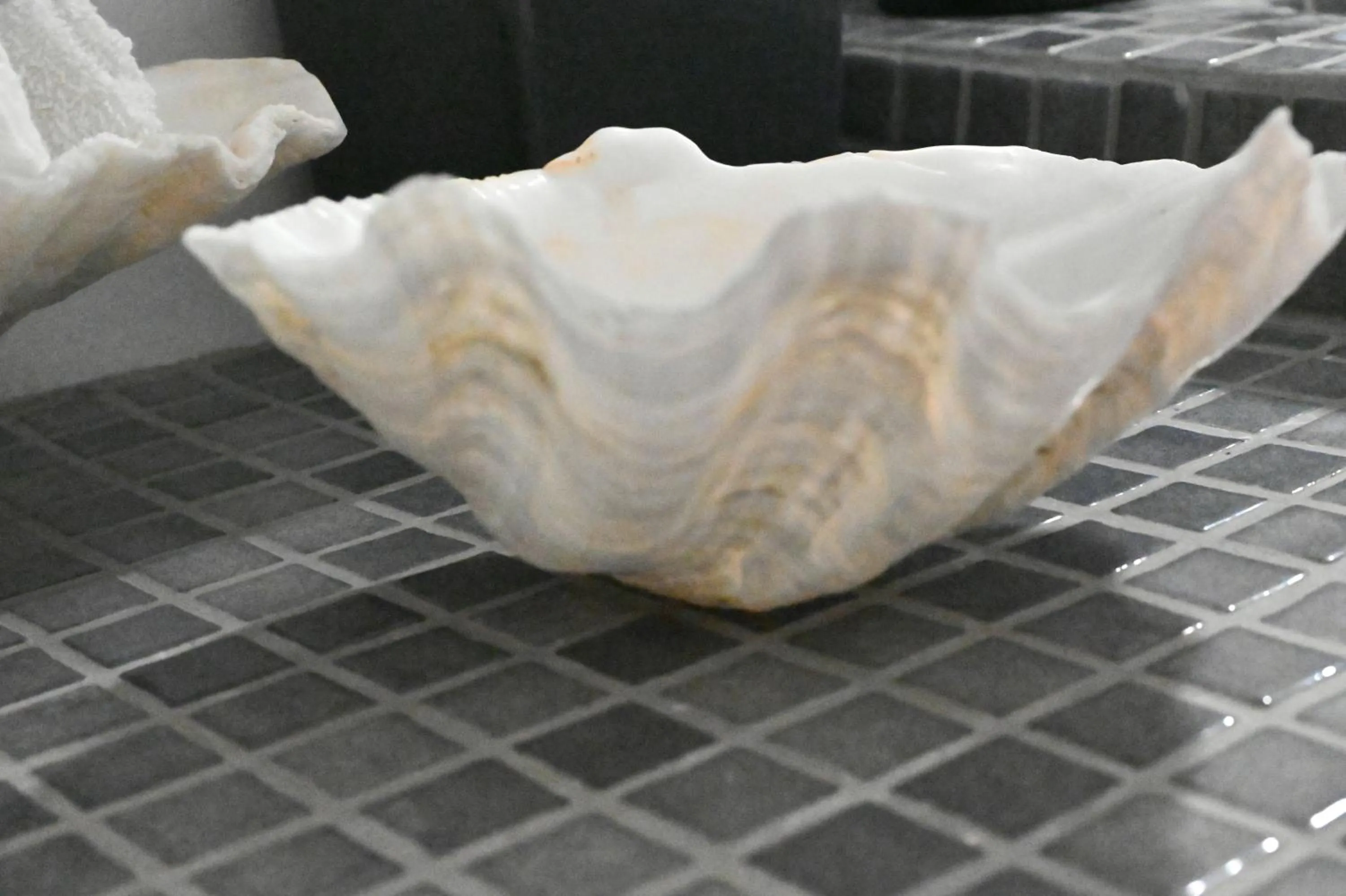 Decorative detail in White Cave Private Villa