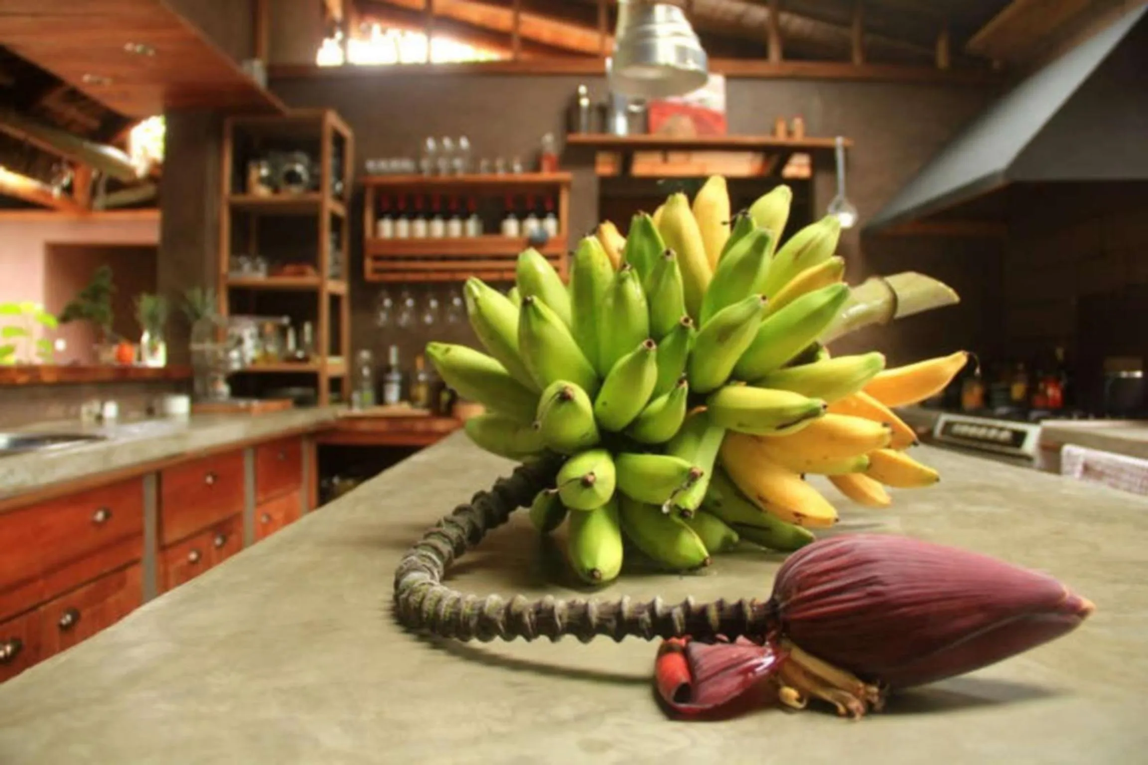 Food and drinks in La Bicok EcoLodge