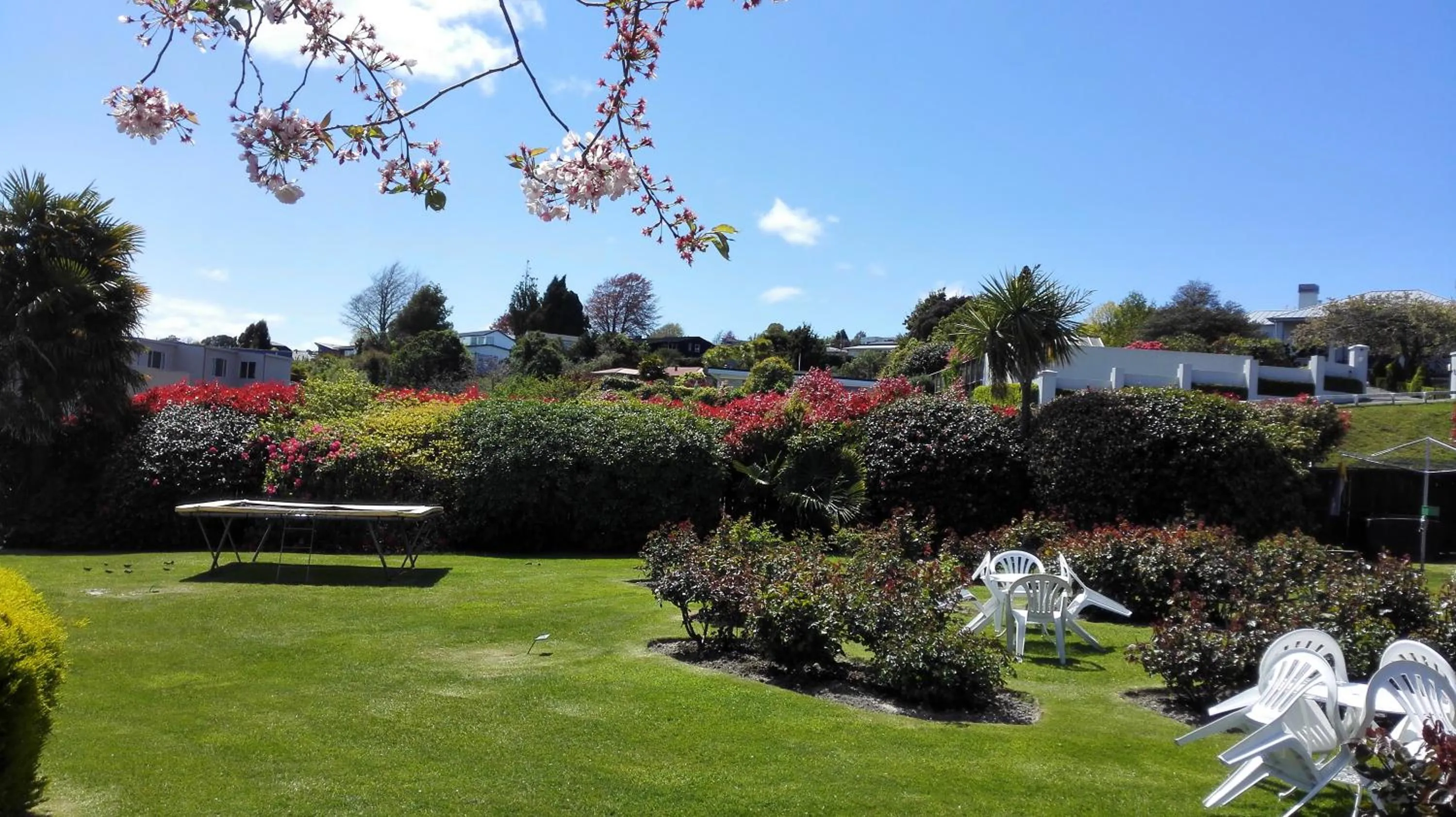 Garden in Phoenix Thermal Resort - Taupo