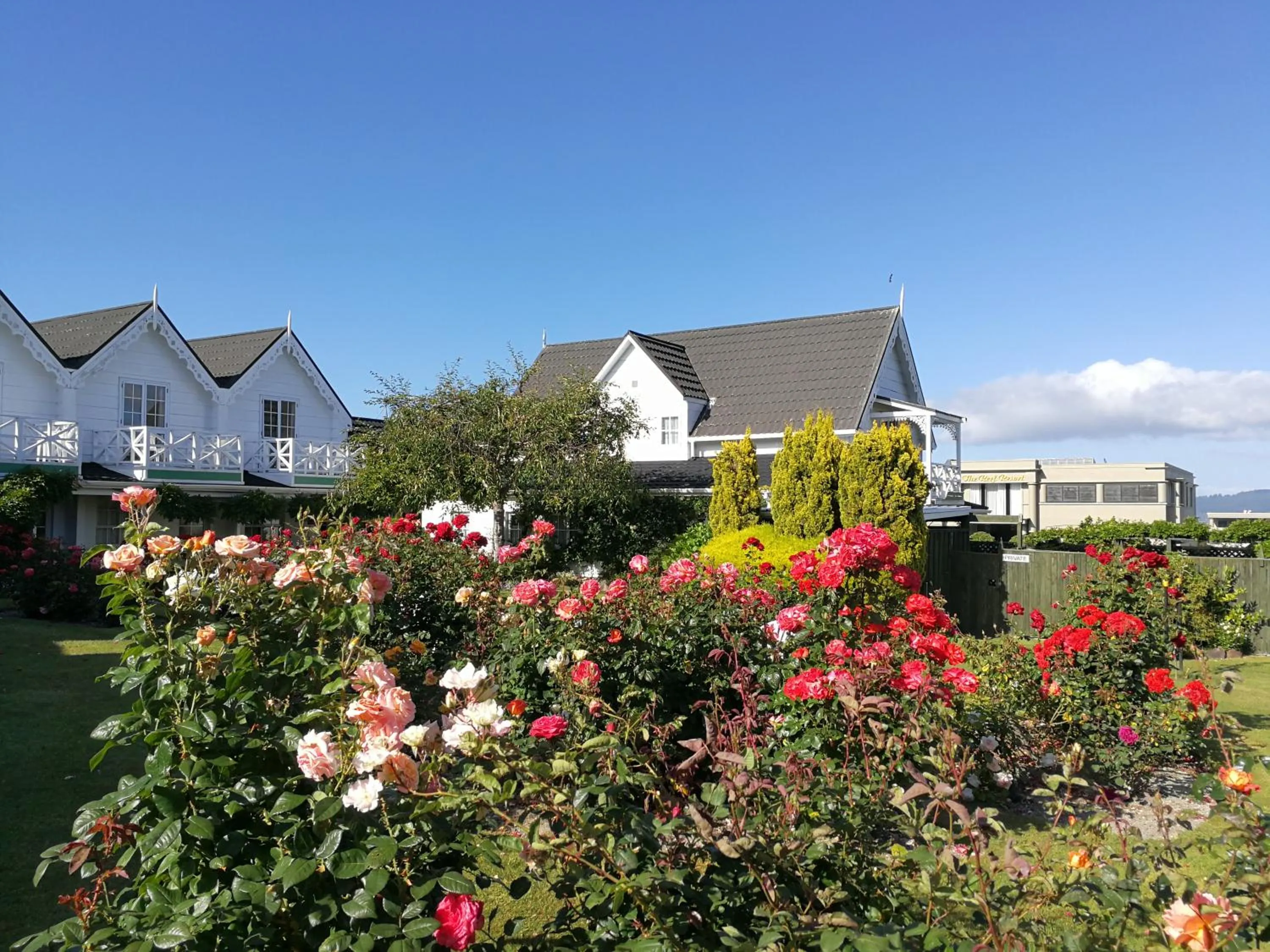 Garden in Phoenix Thermal Resort - Taupo