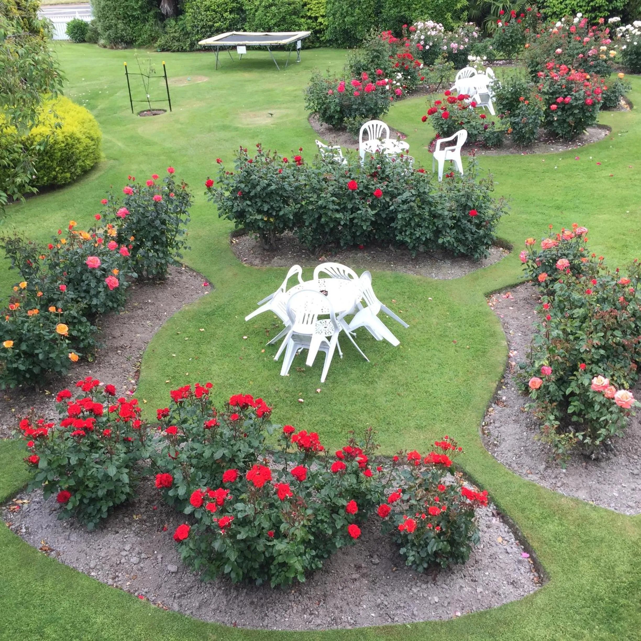 Garden in Phoenix Thermal Resort - Taupo