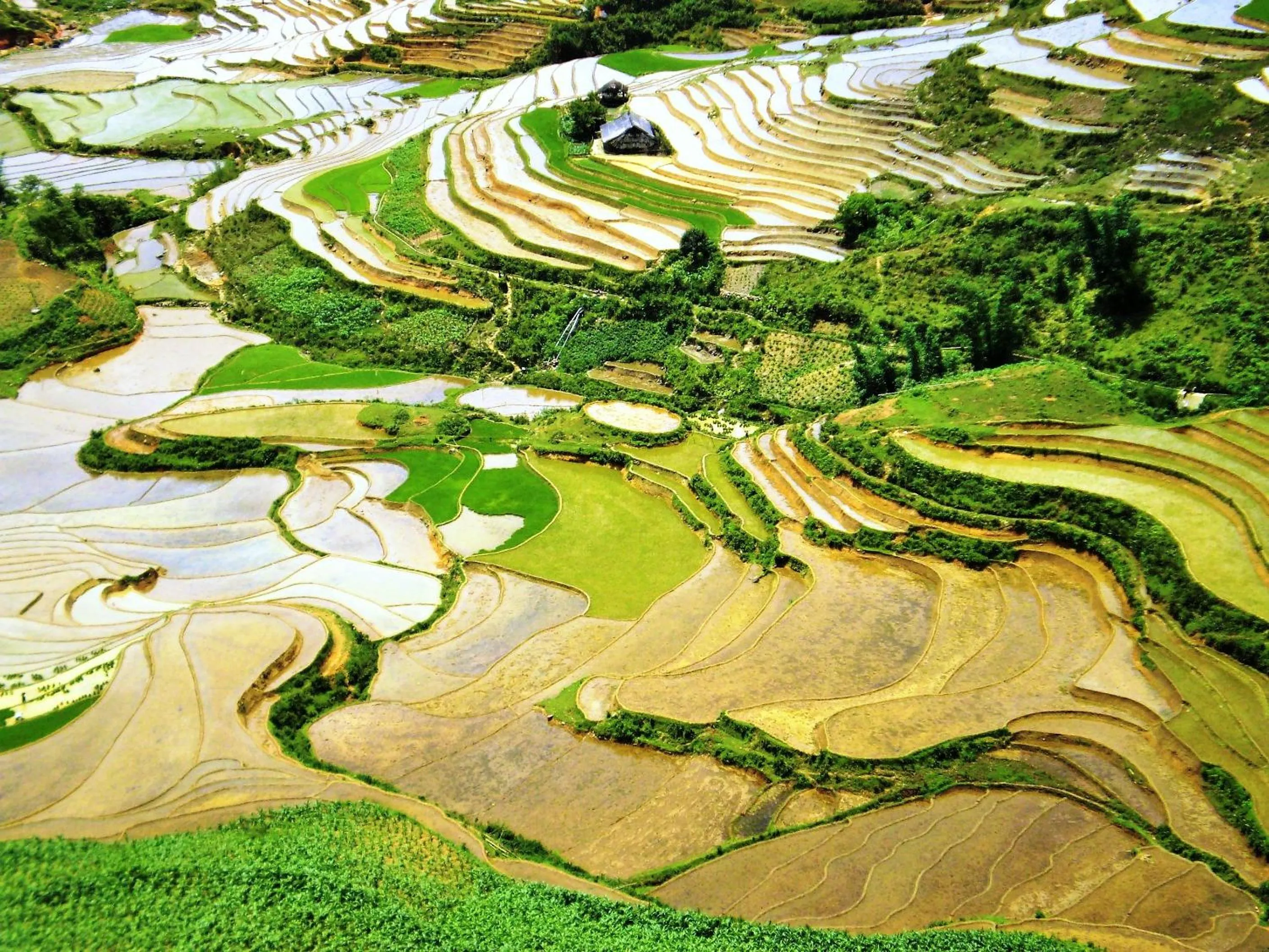Hiking in Sapa Dragon Hotel