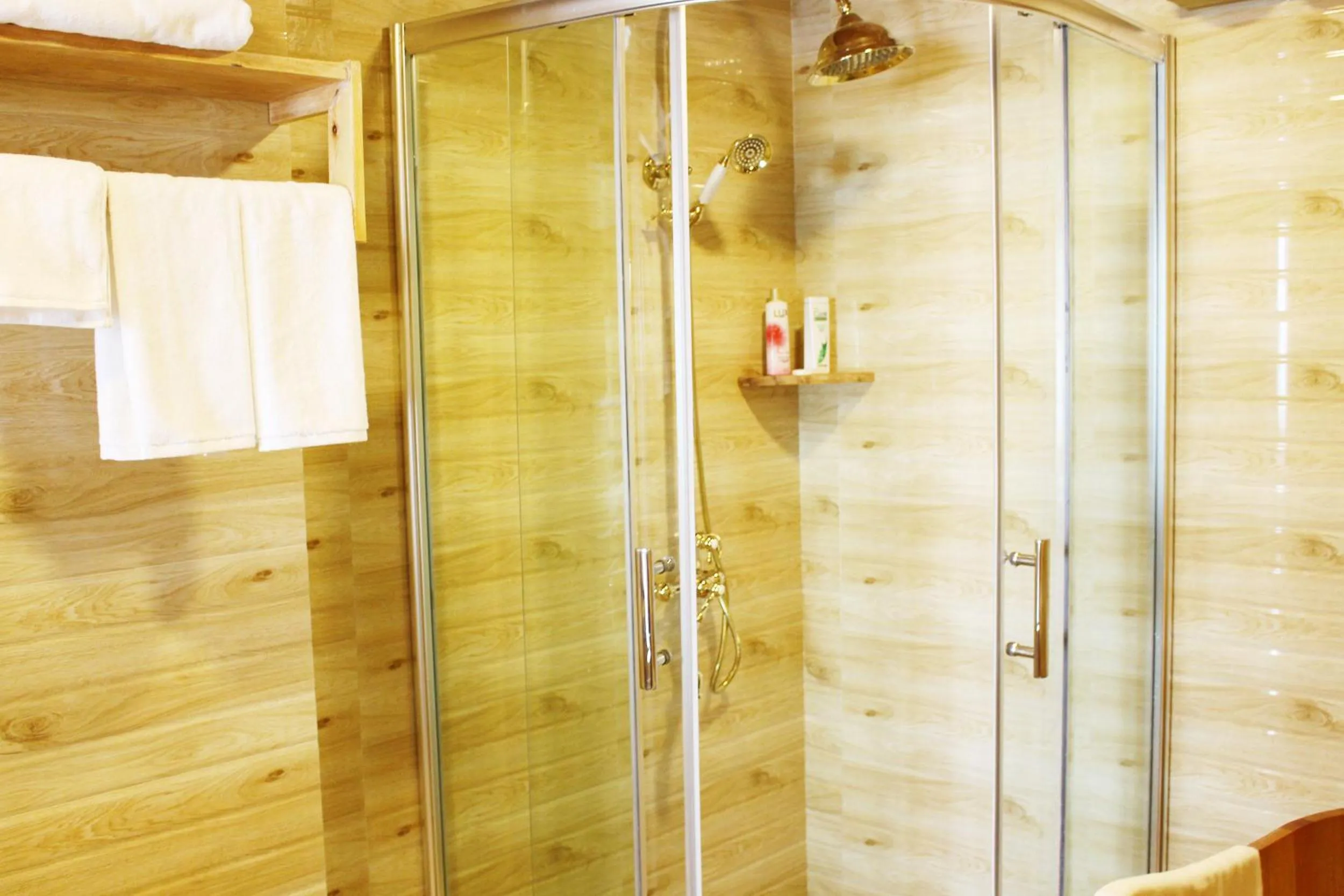 Other in Sapa Dragon Hotel