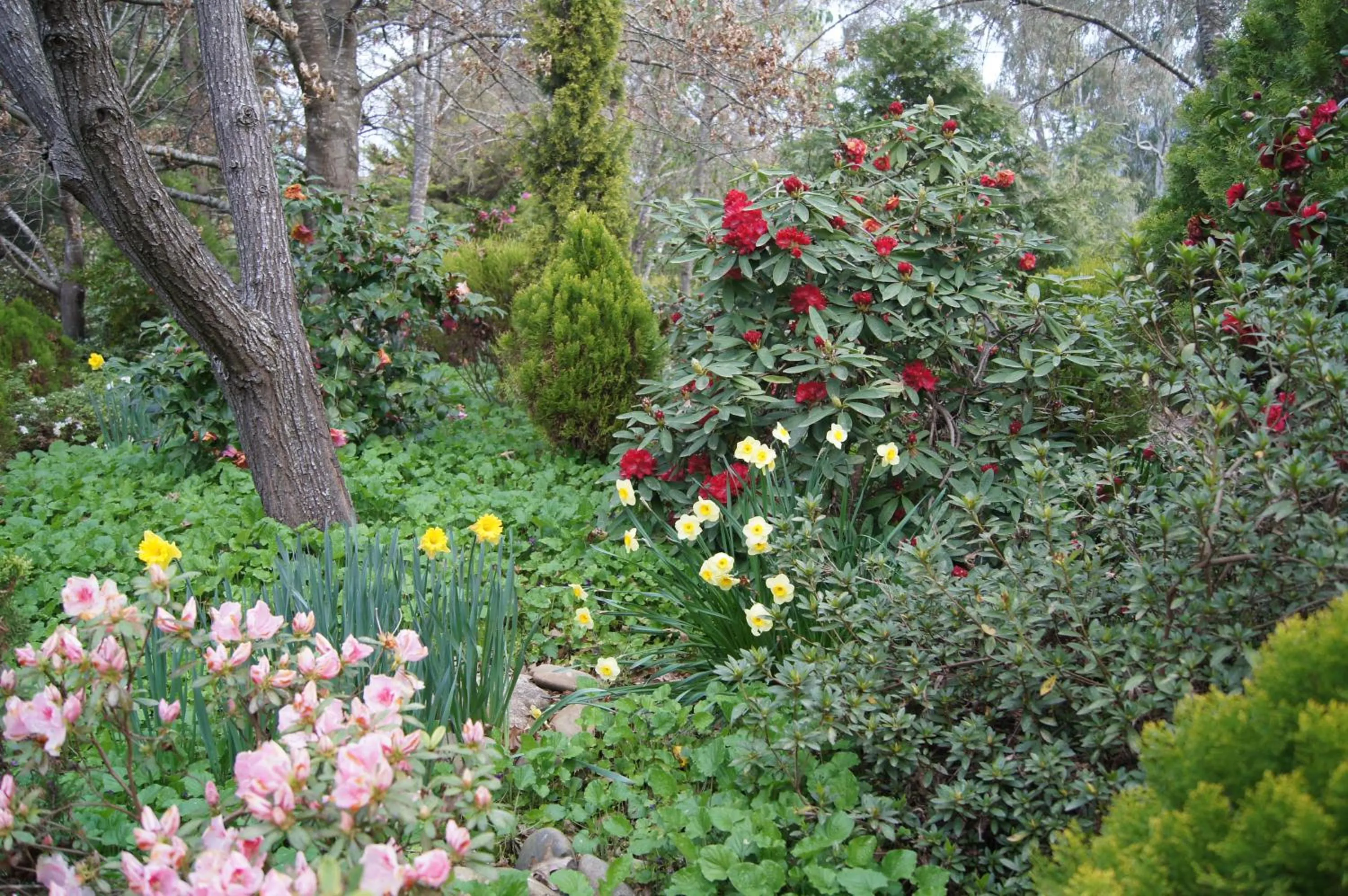 Garden in Chalets Lumineux