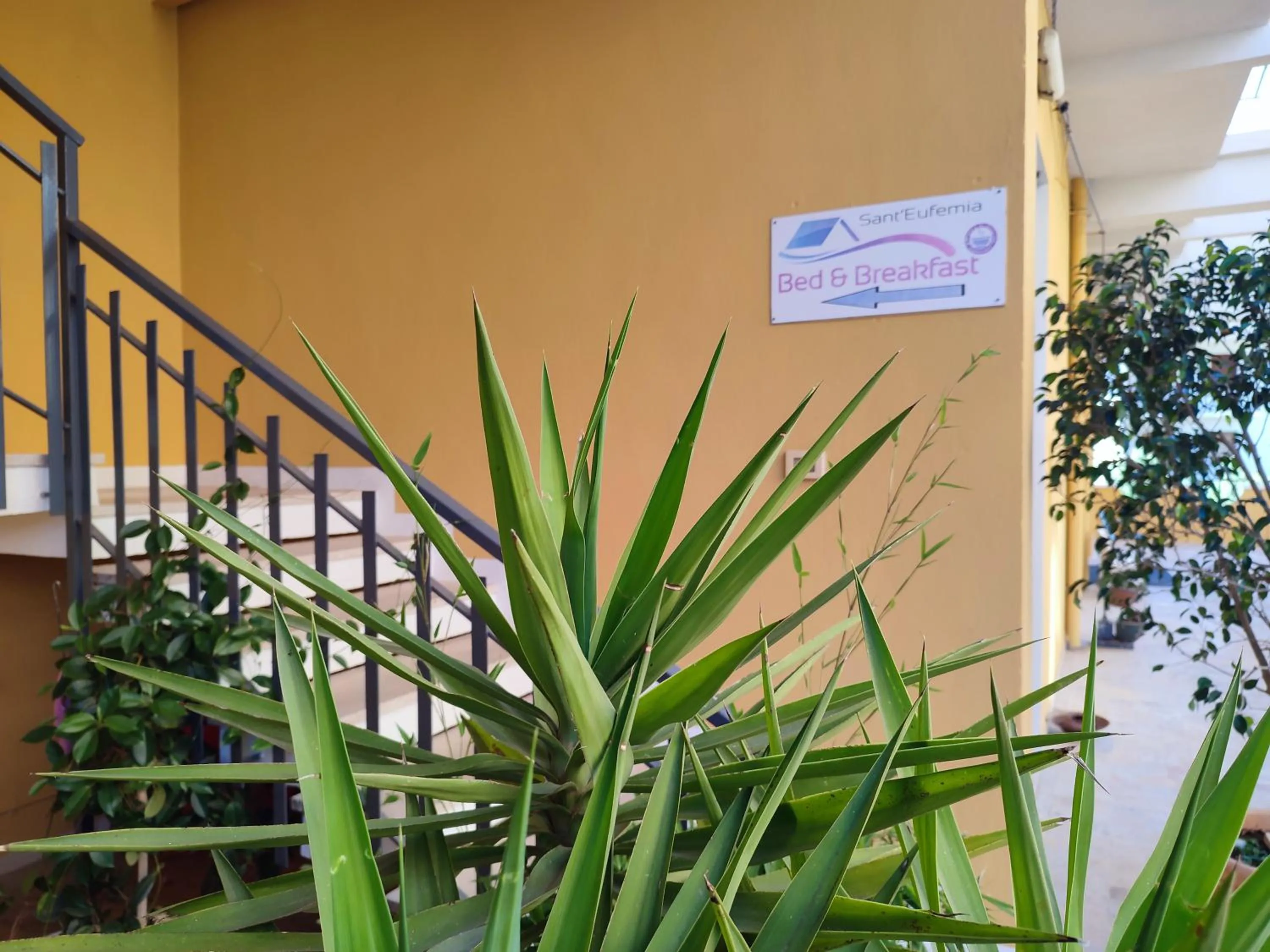Property building in B&B Sant'Eufemia