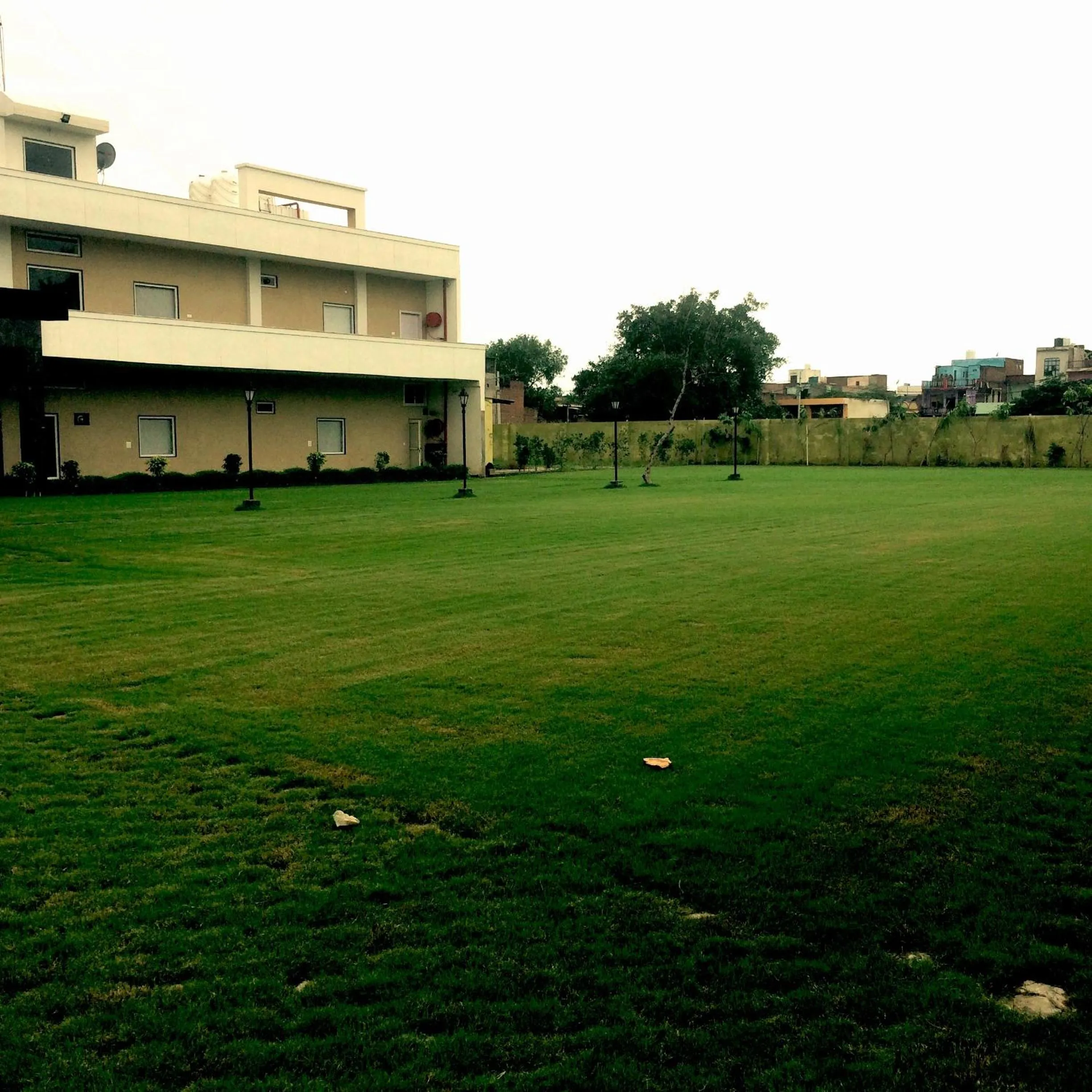 Garden in Hotel Spiti