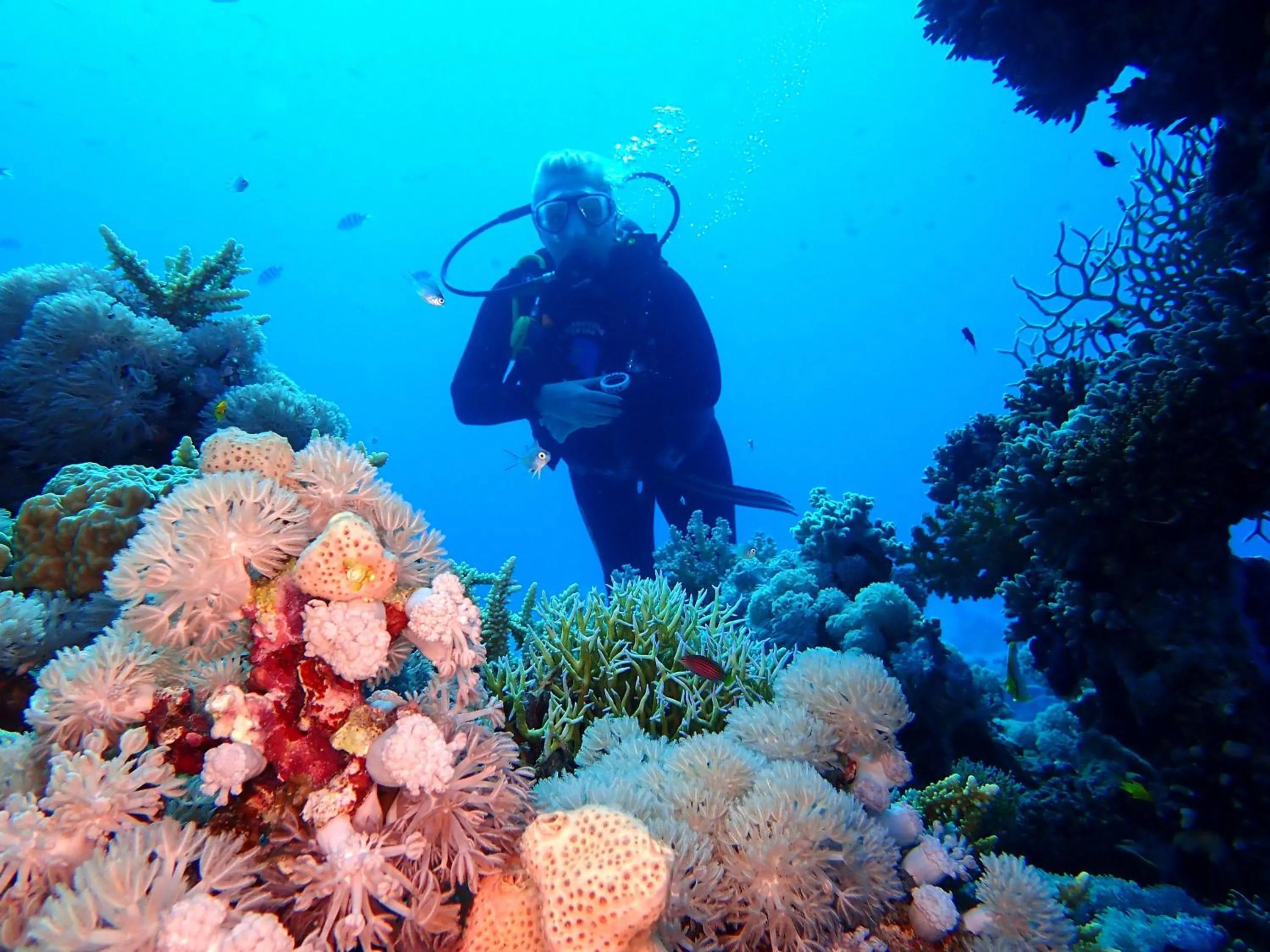 Diving in Steigenberger Golf Resort El Gouna