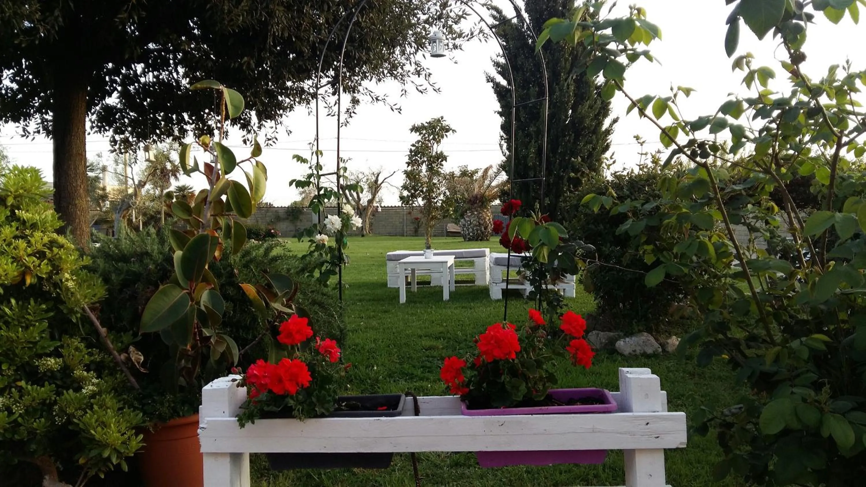 Garden in Villa Elegance
