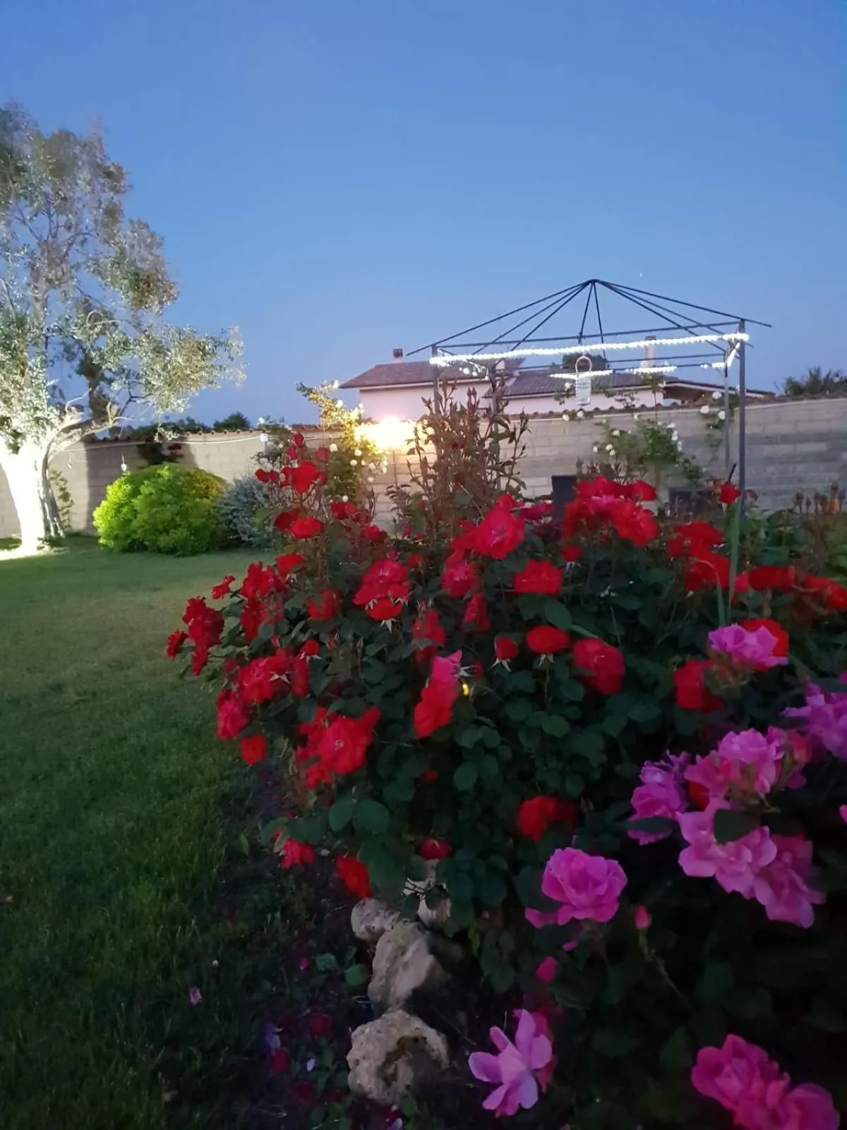 Garden in Villa Elegance