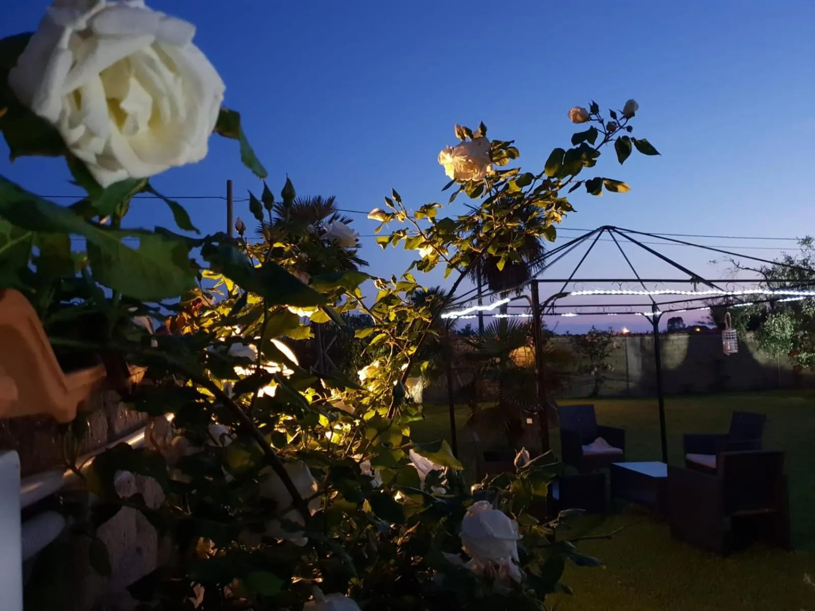 Garden in Villa Elegance