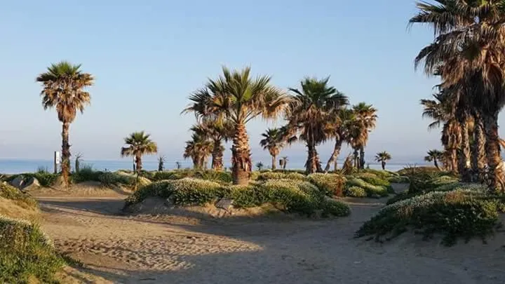 Beach in Villa Elegance