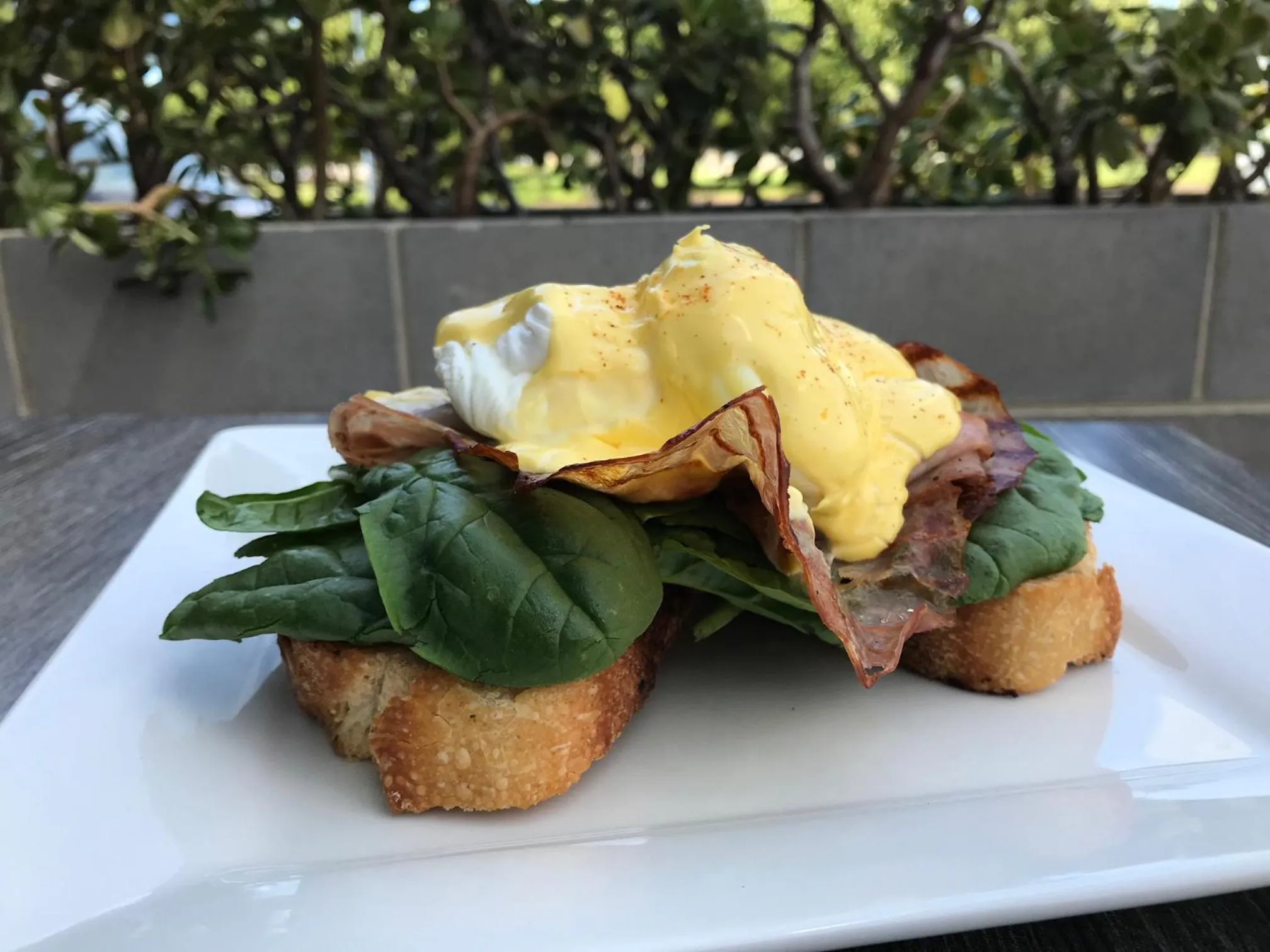 Restaurant/places to eat in Hotel Clipper