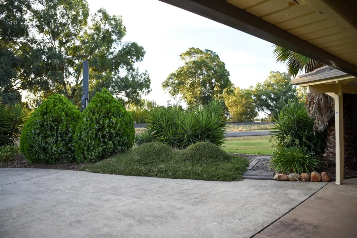 Garden in Culcairn Motor Inn