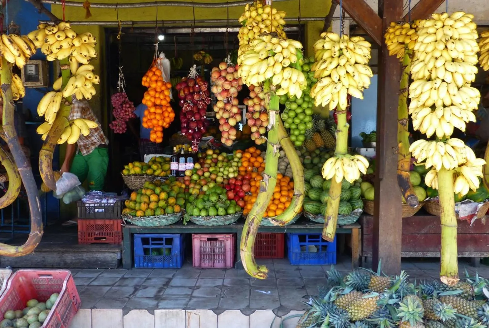 Off site in Osanda Guest