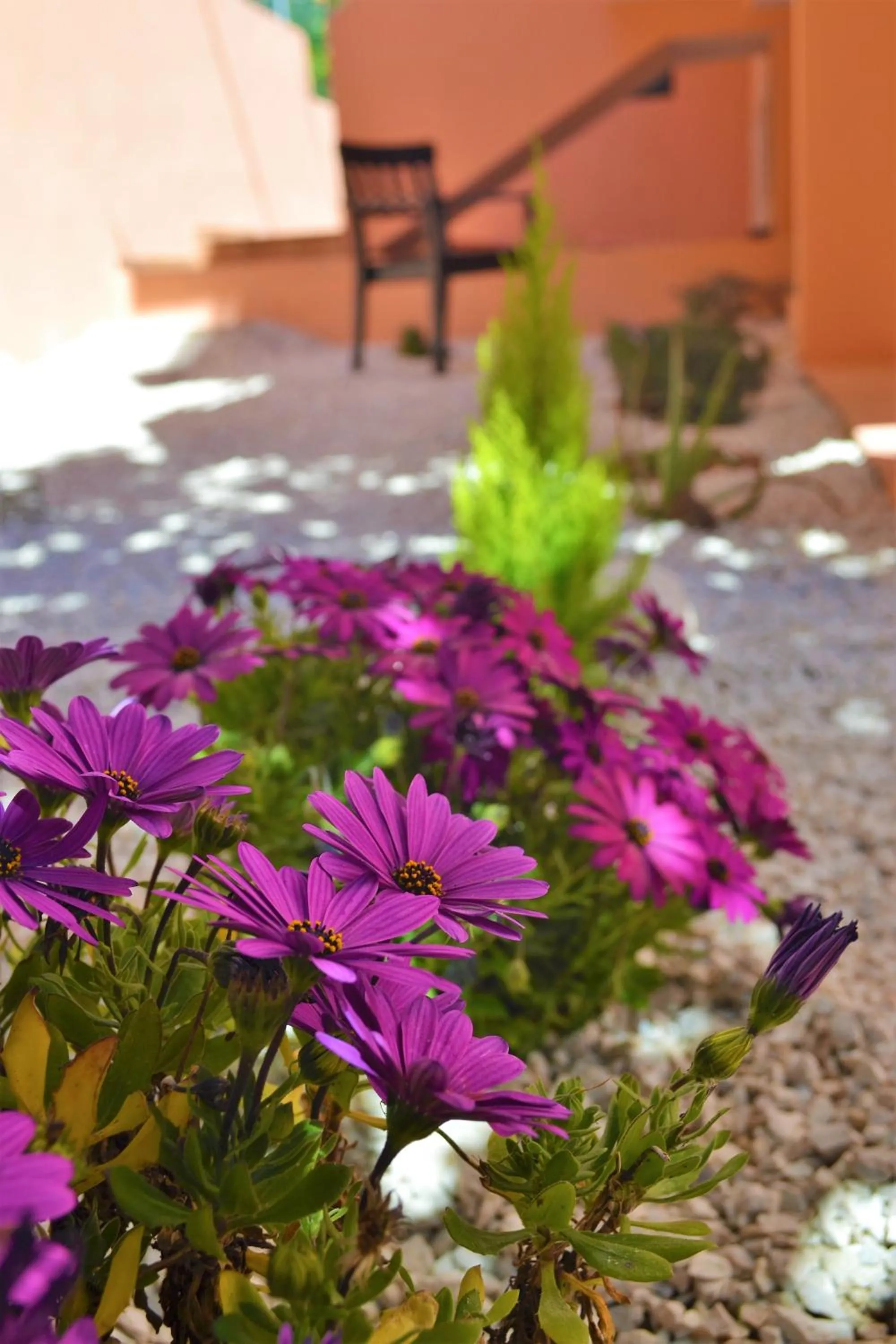 Casa Vacanze Mura