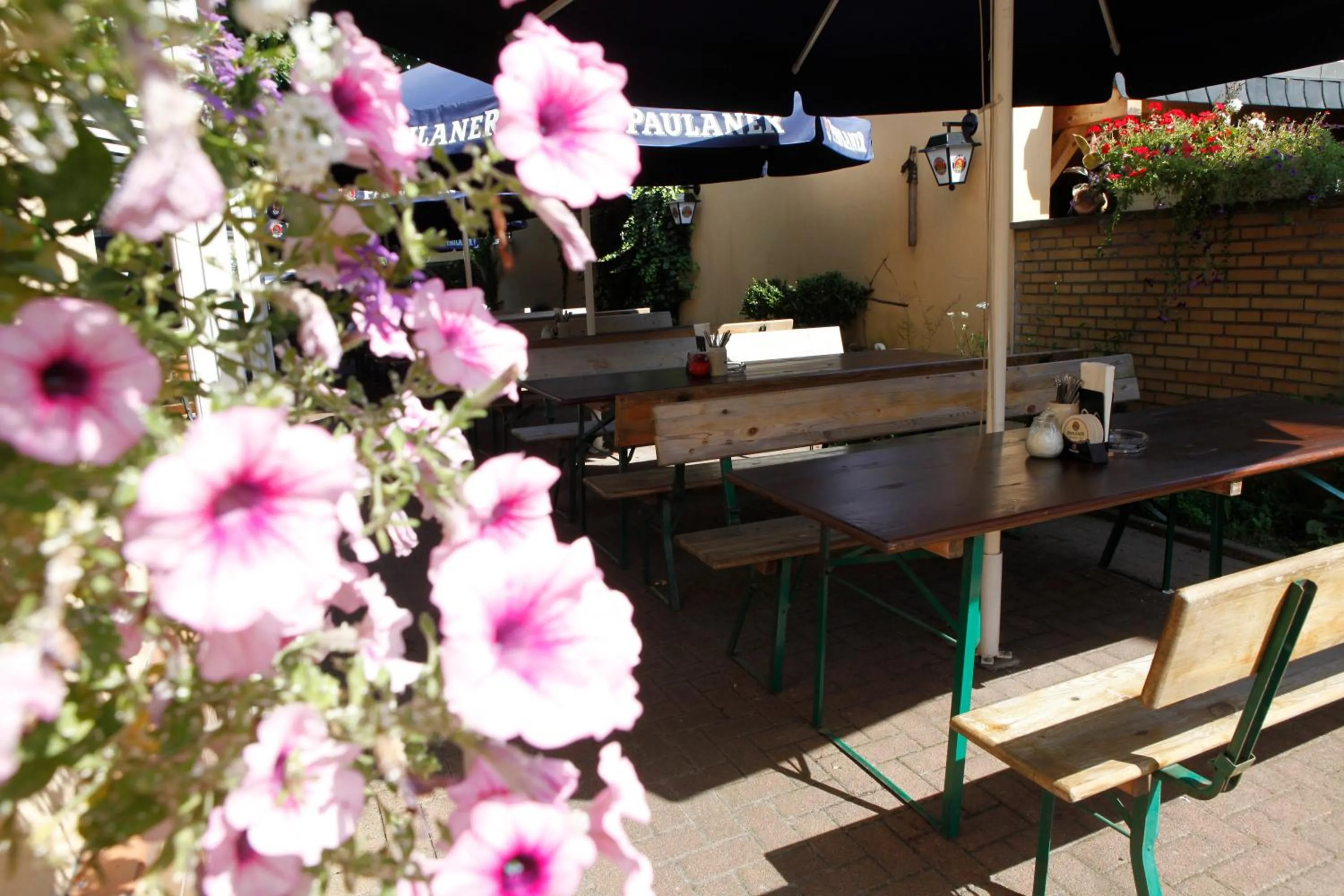 Patio in Zur Waldlust