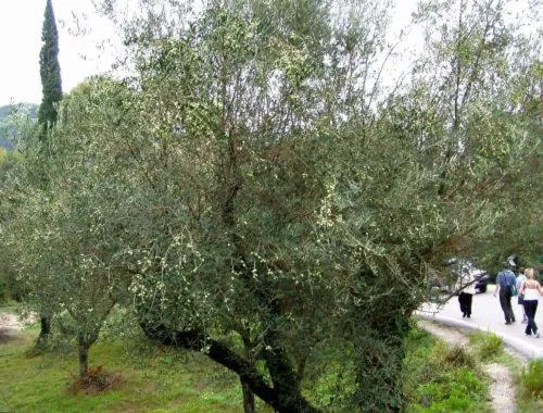 Nearby landmark in Athina Hotel