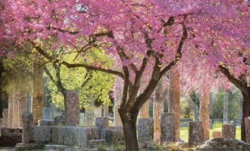 Nearby landmark in Athina Hotel