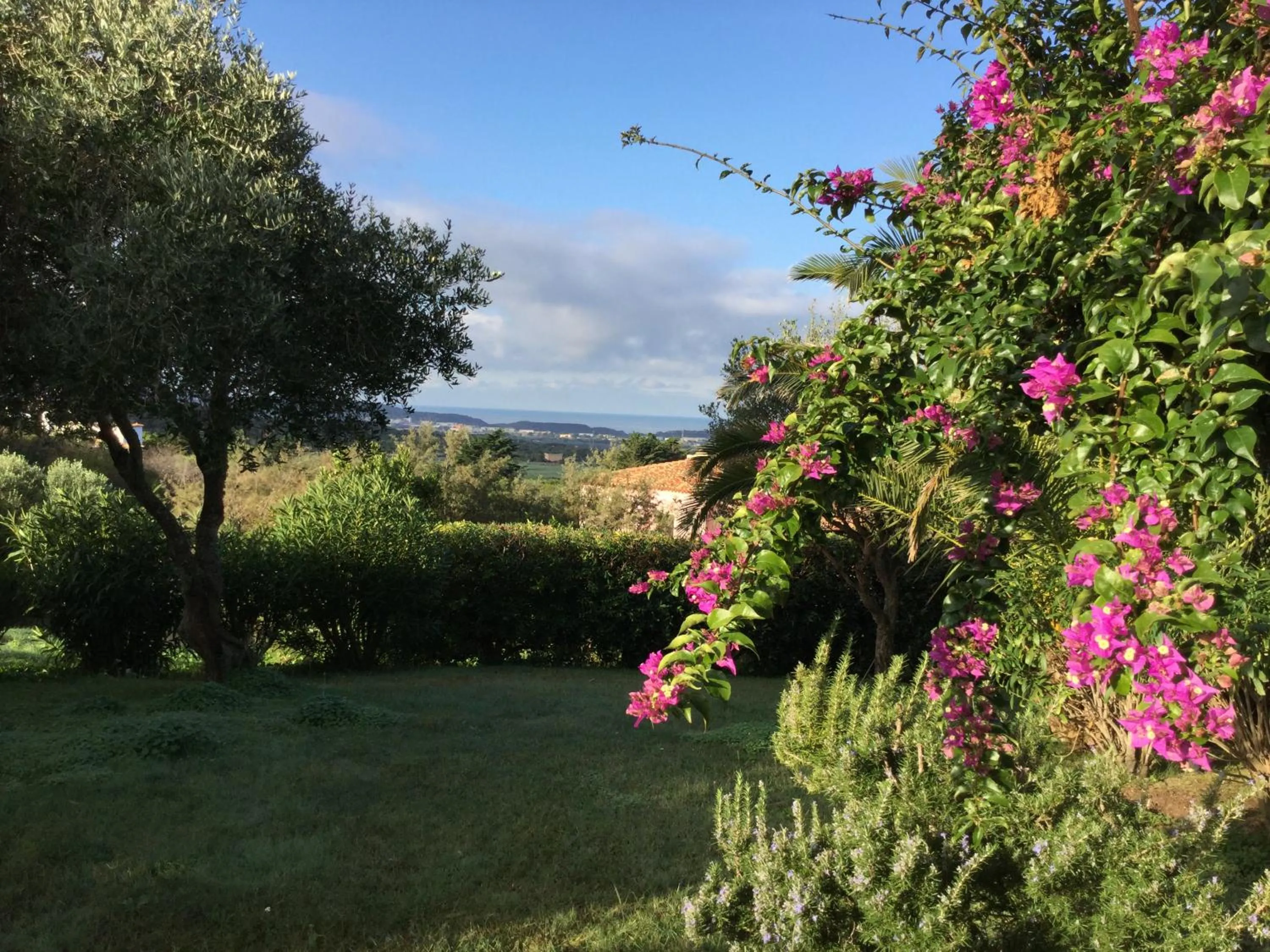 Garden view in Villa Kuky