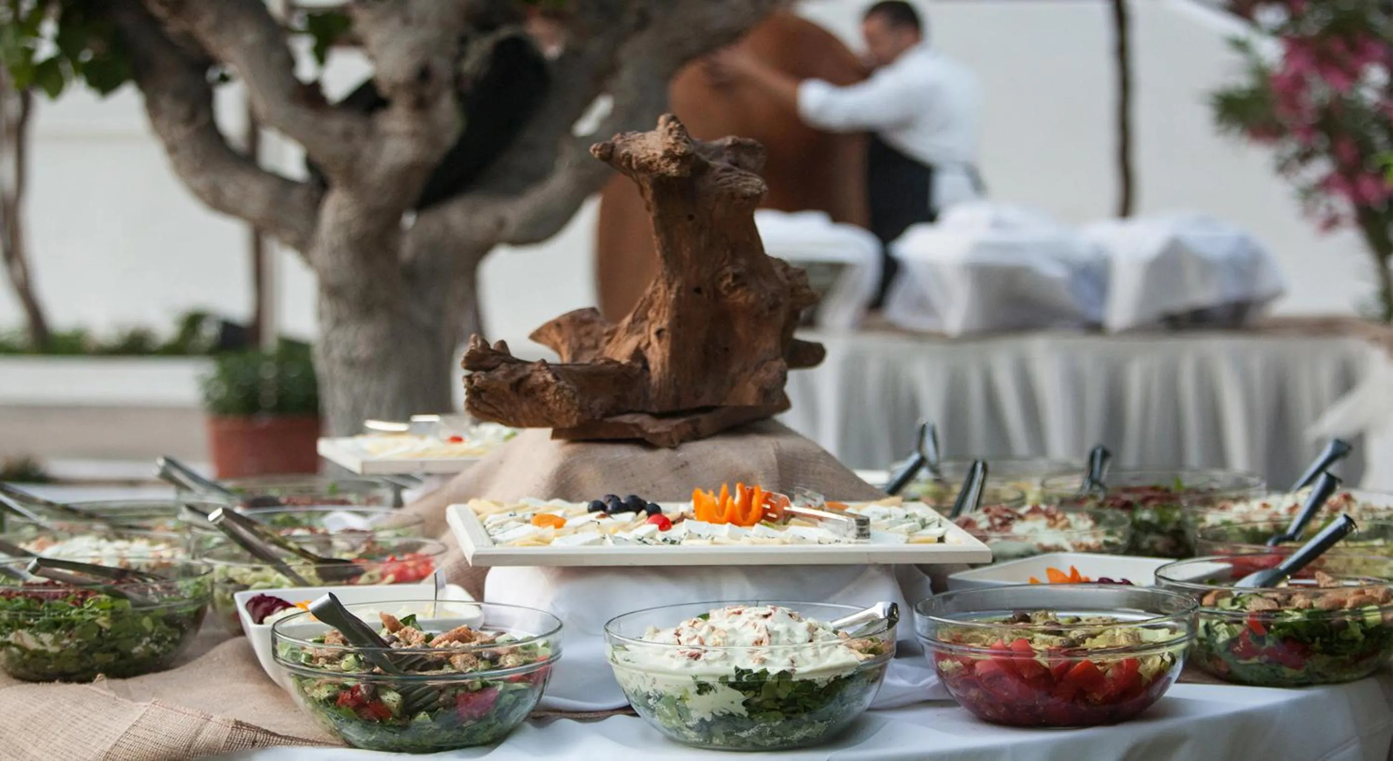 Area and facilities in Filio Guesthouse