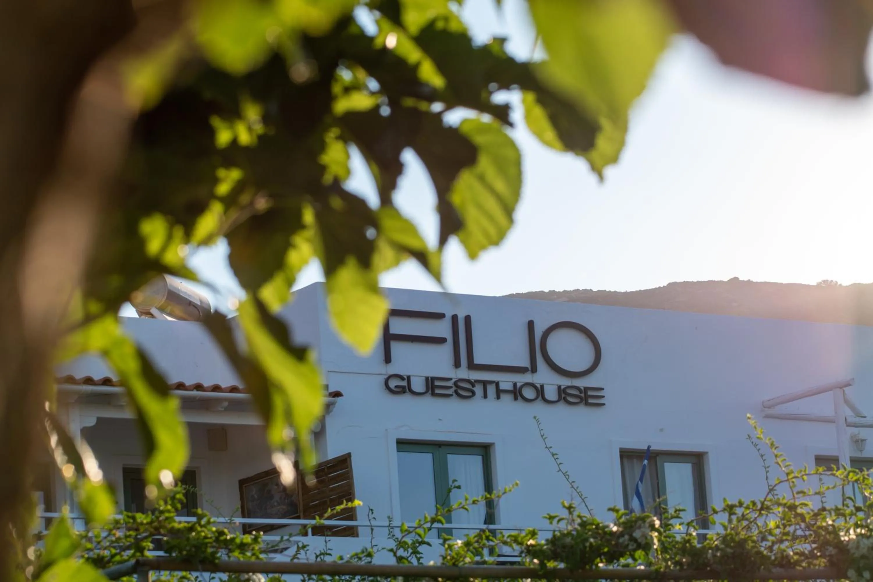 Day in Filio Guesthouse