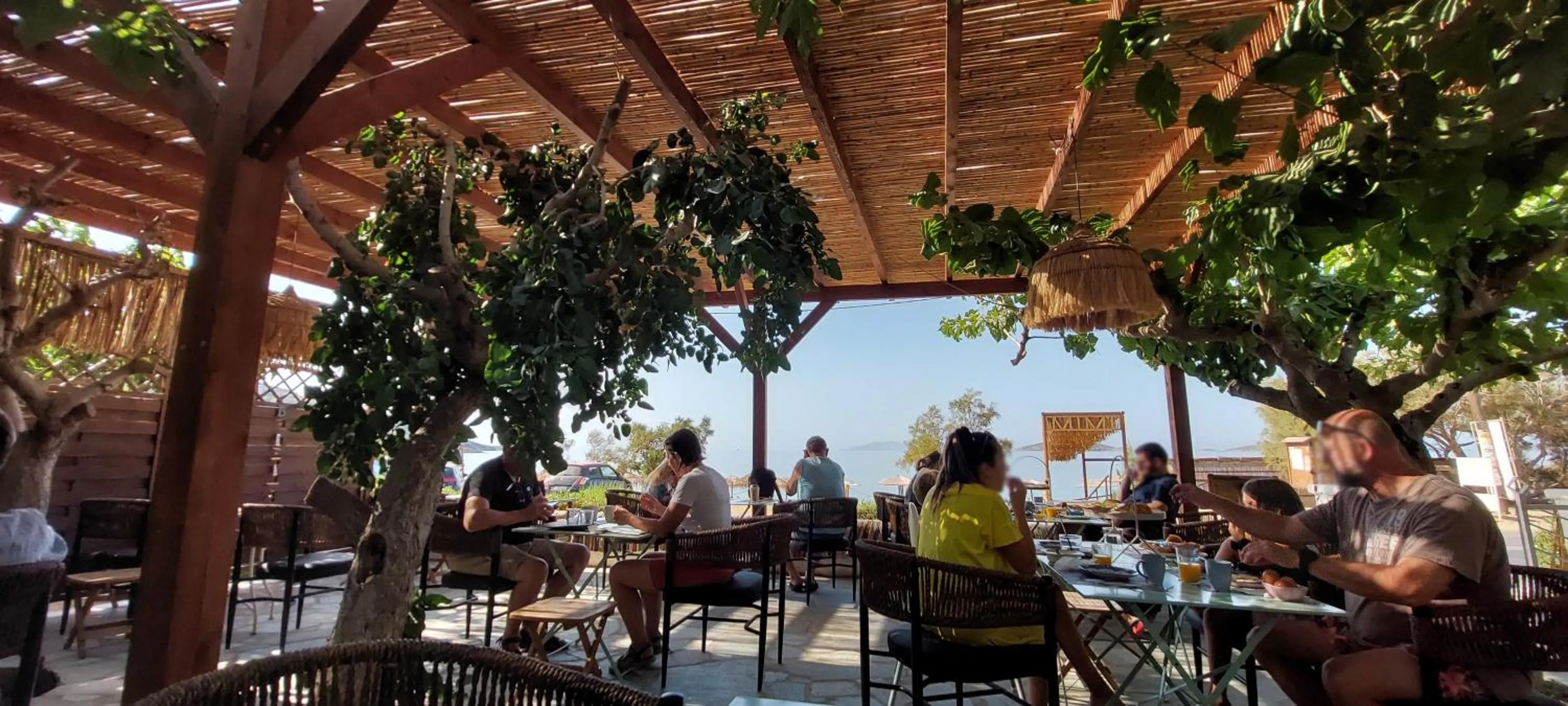 Restaurant/places to eat in Filio Guesthouse