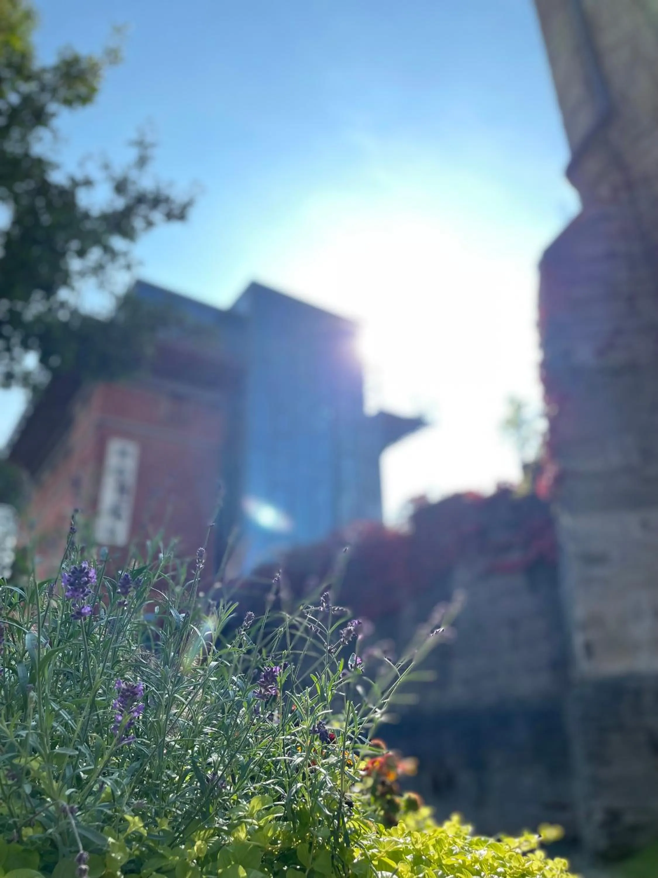 Property building in Fronveste das alte Knasthaus