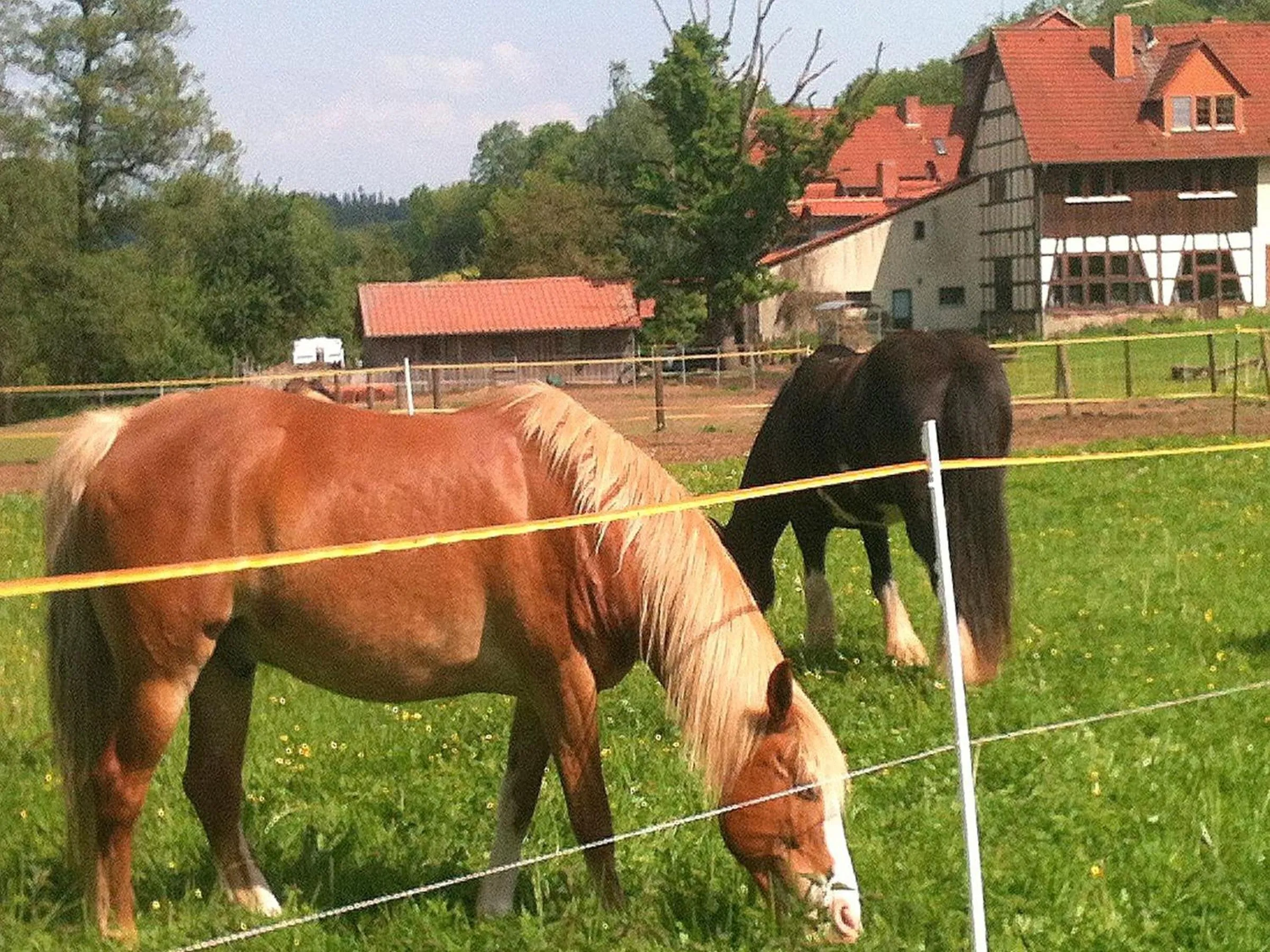 Reiterhof Aumühle