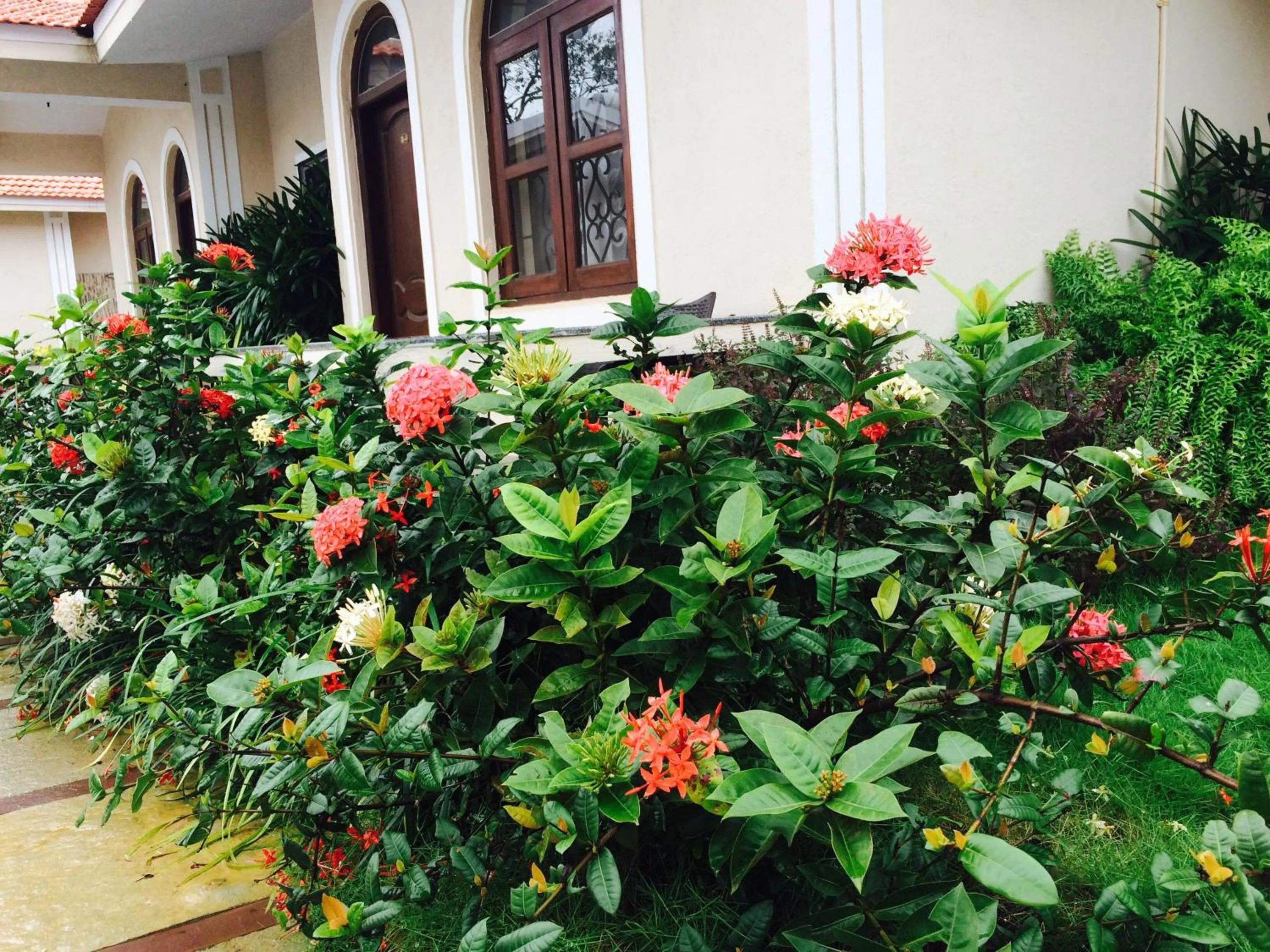 Spring in Jacks Resort