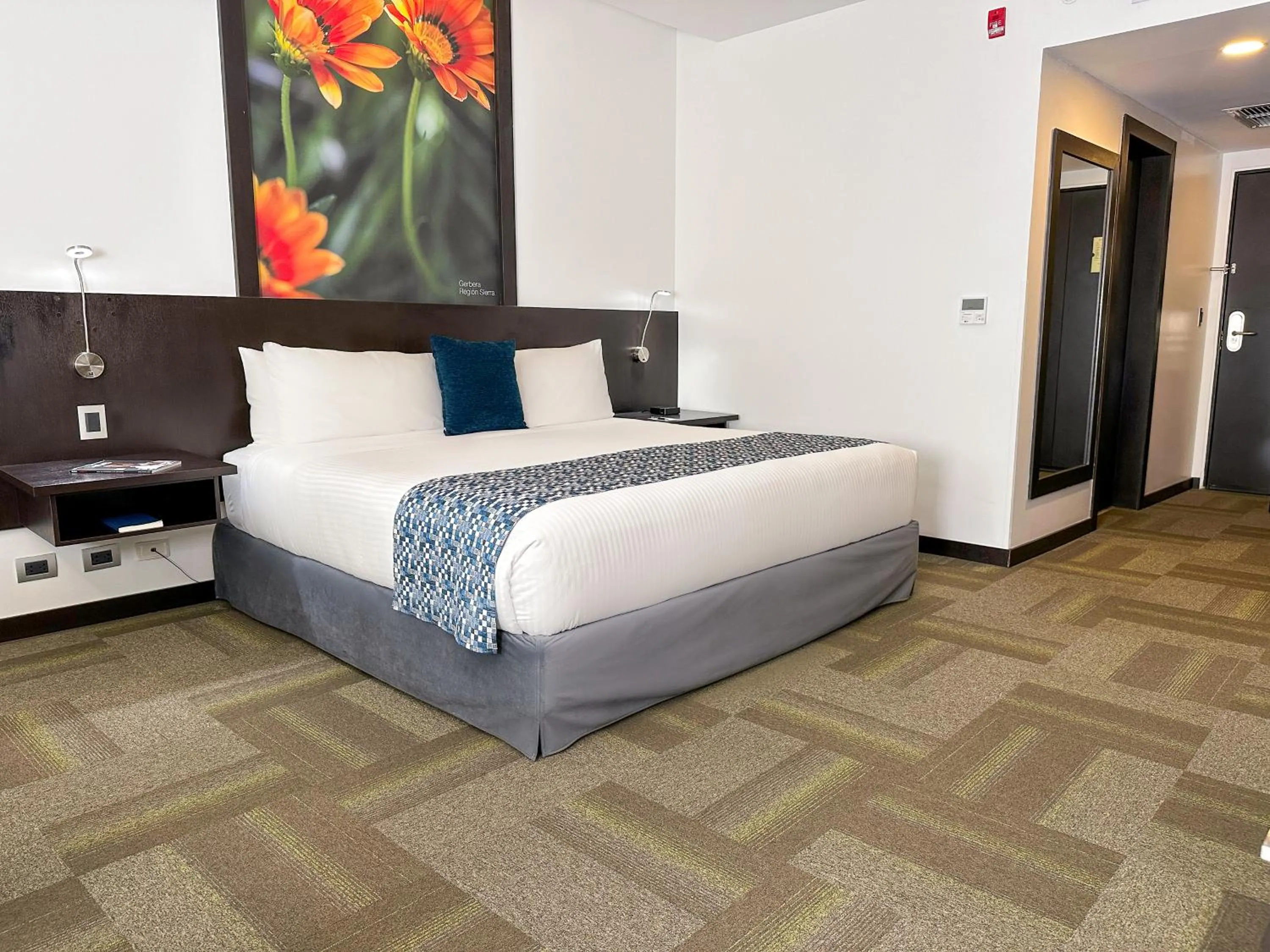 View (from property/room), Bed in Wyndham Quito Airport