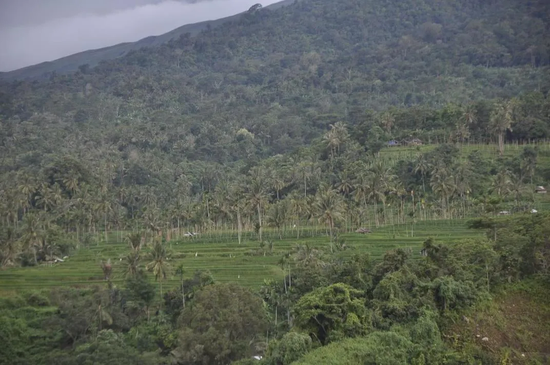 Pondok Guru Bakti Cottage