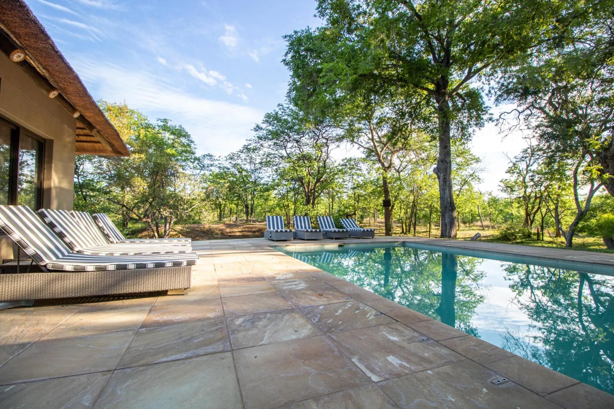 Swimming pool in Xanatseni Private Camp