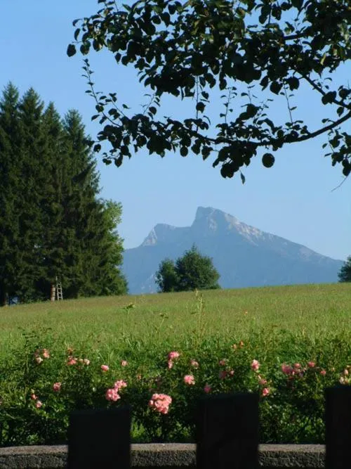 Erlachmühle
