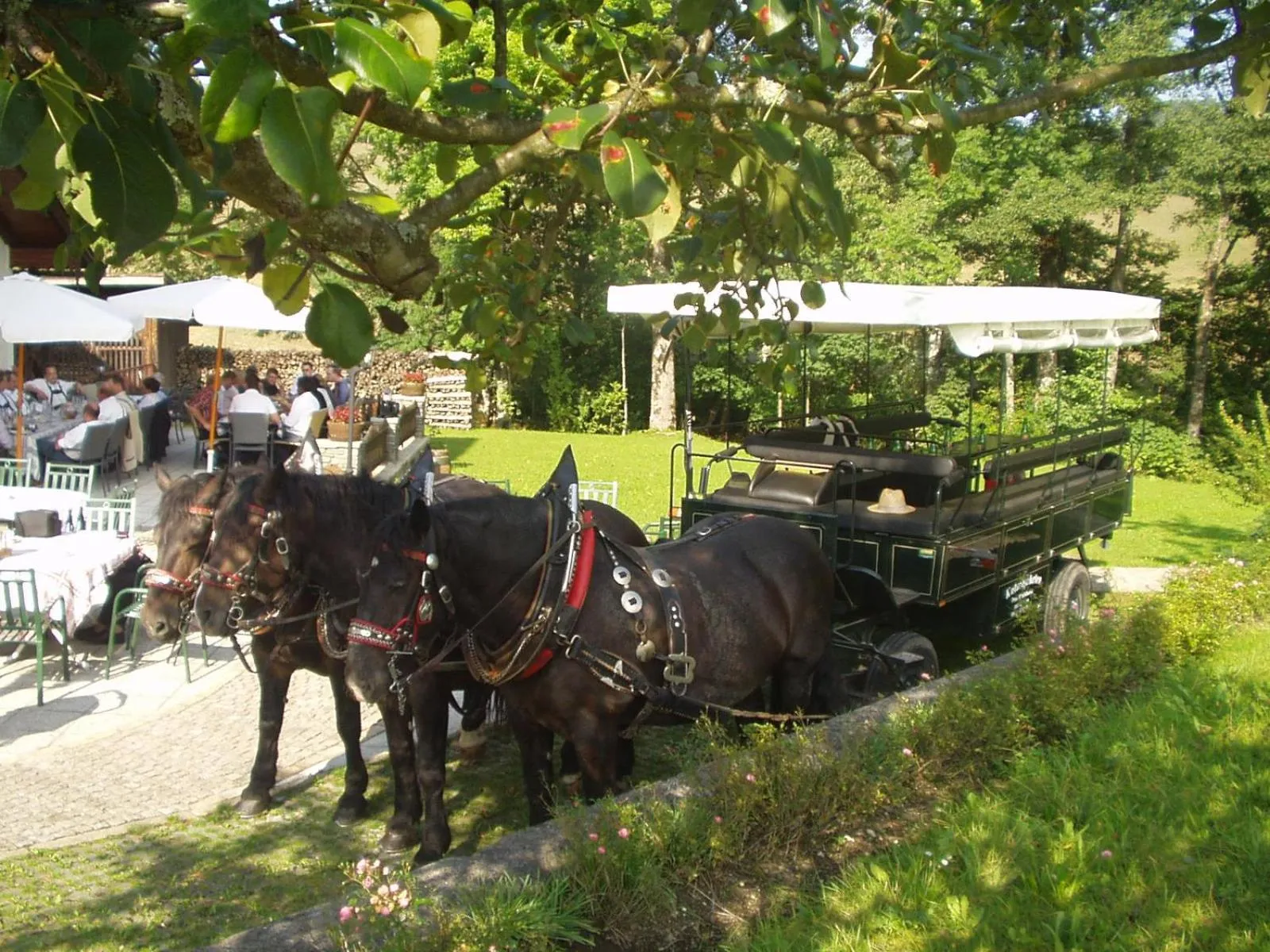 Erlachmühle