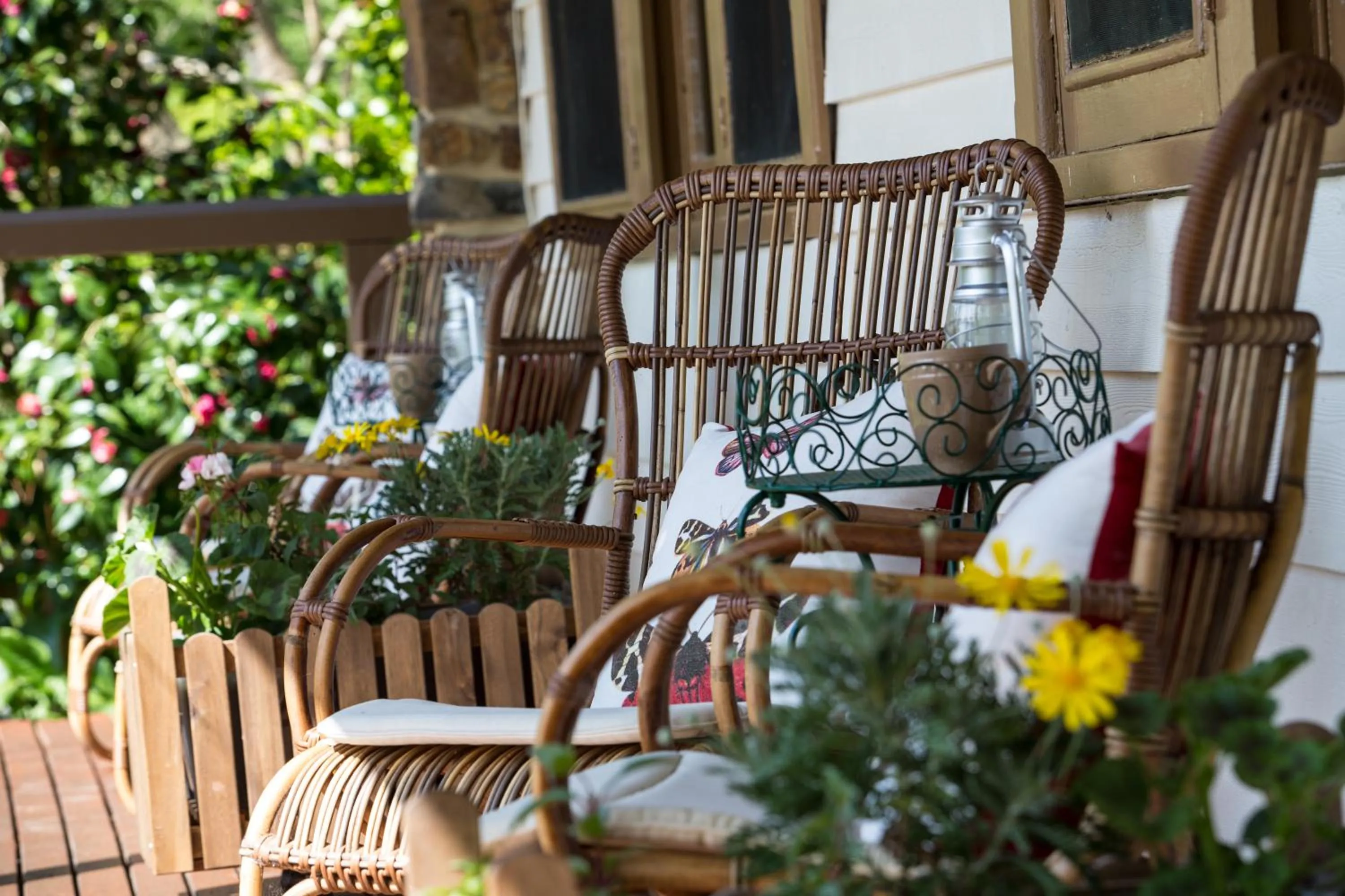 On site in Buttercup Hill