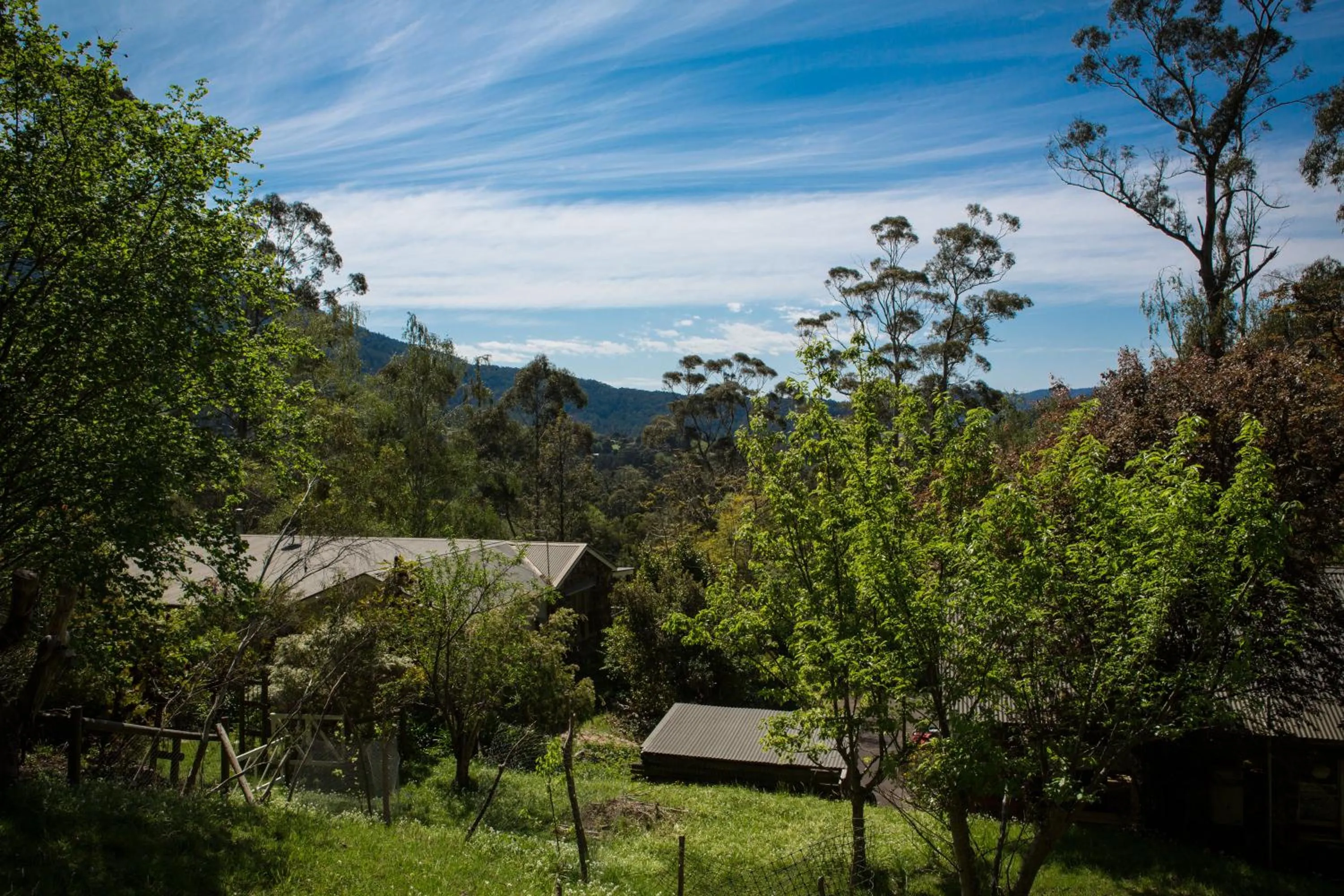 Garden view in Buttercup Hill
