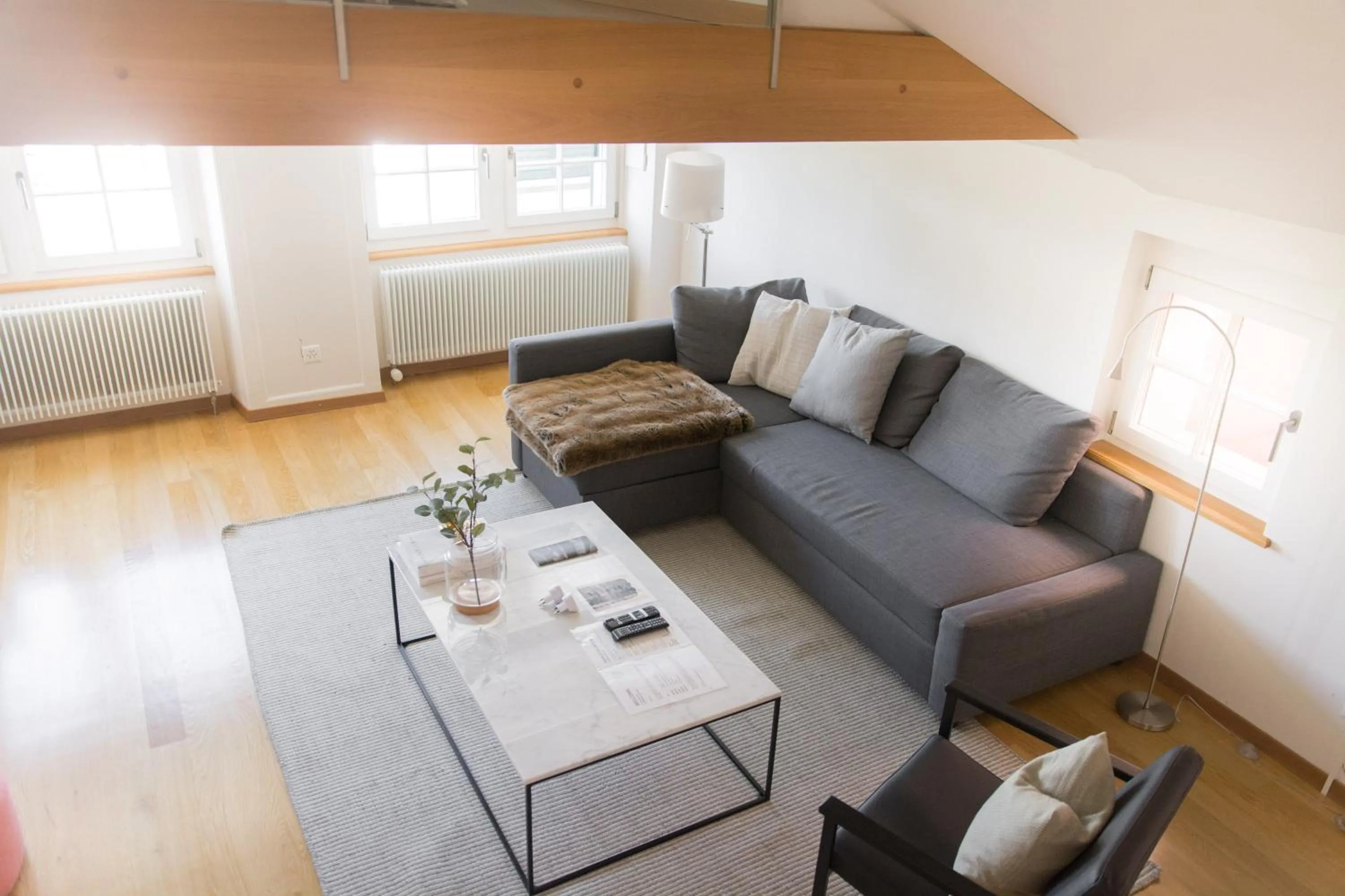 Living room in Lake Side Location Bellevue