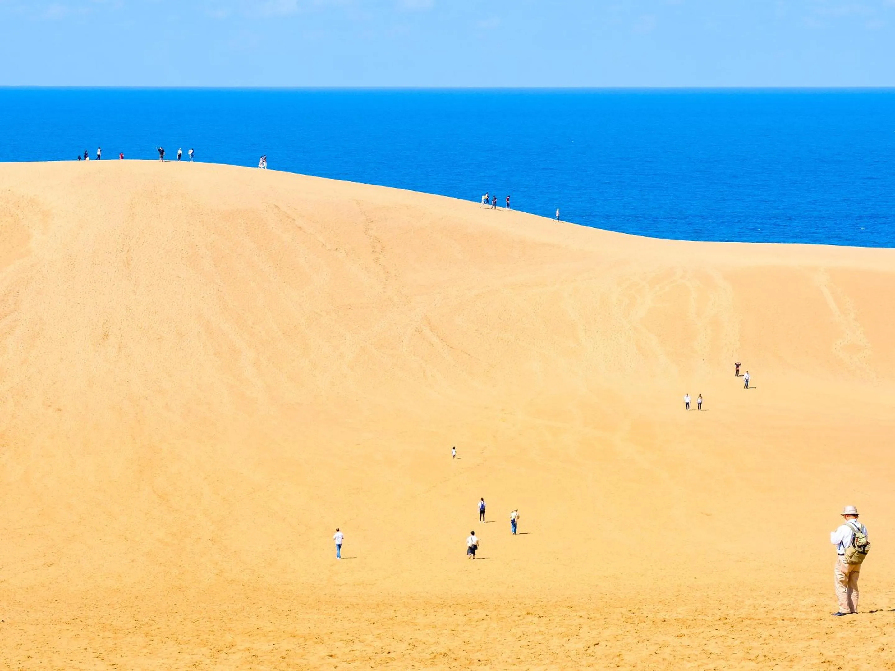 Nearby landmark in Ooedo Onsen Monogatari Miyoshiya