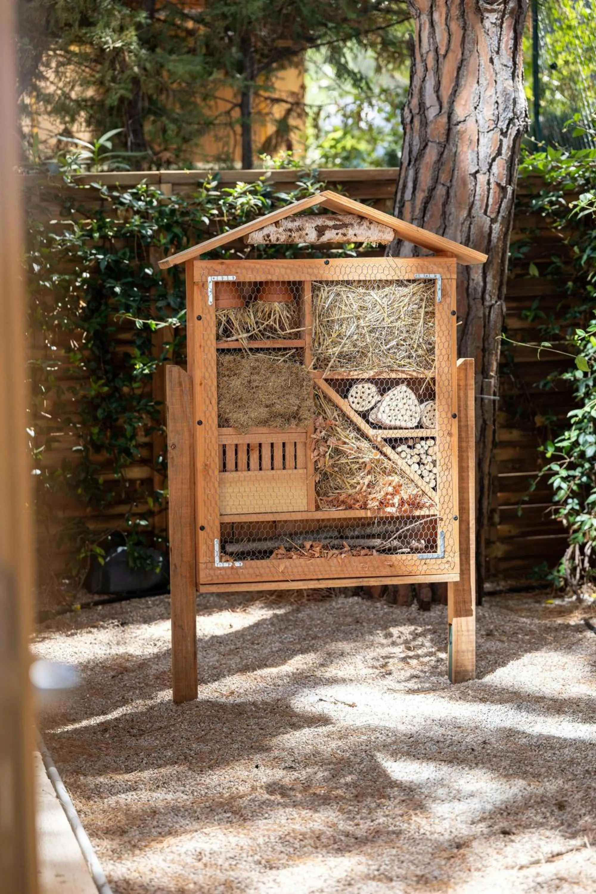 Other in Le Méridien Beach Plaza