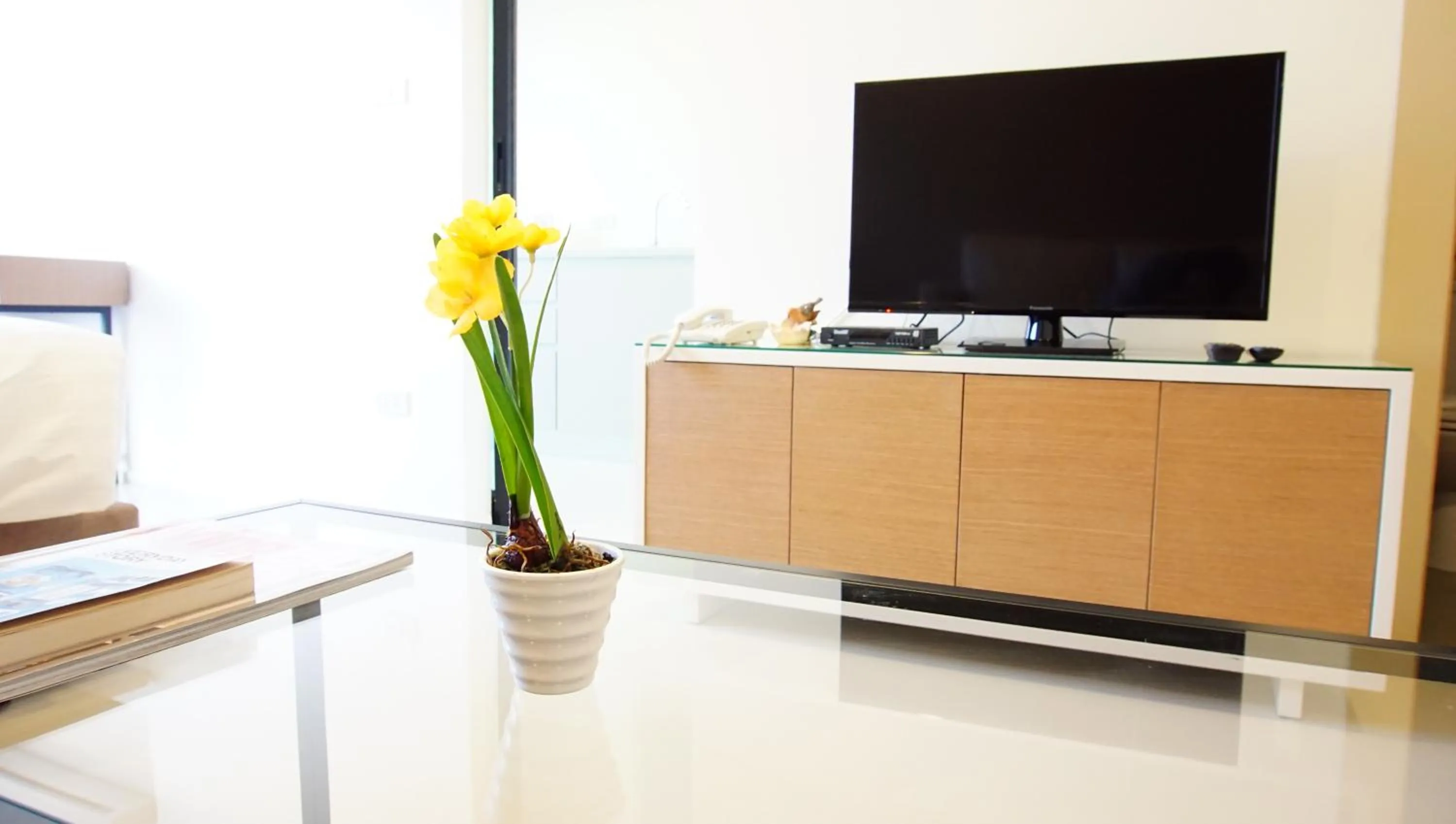 TV and multimedia in 185 Residence